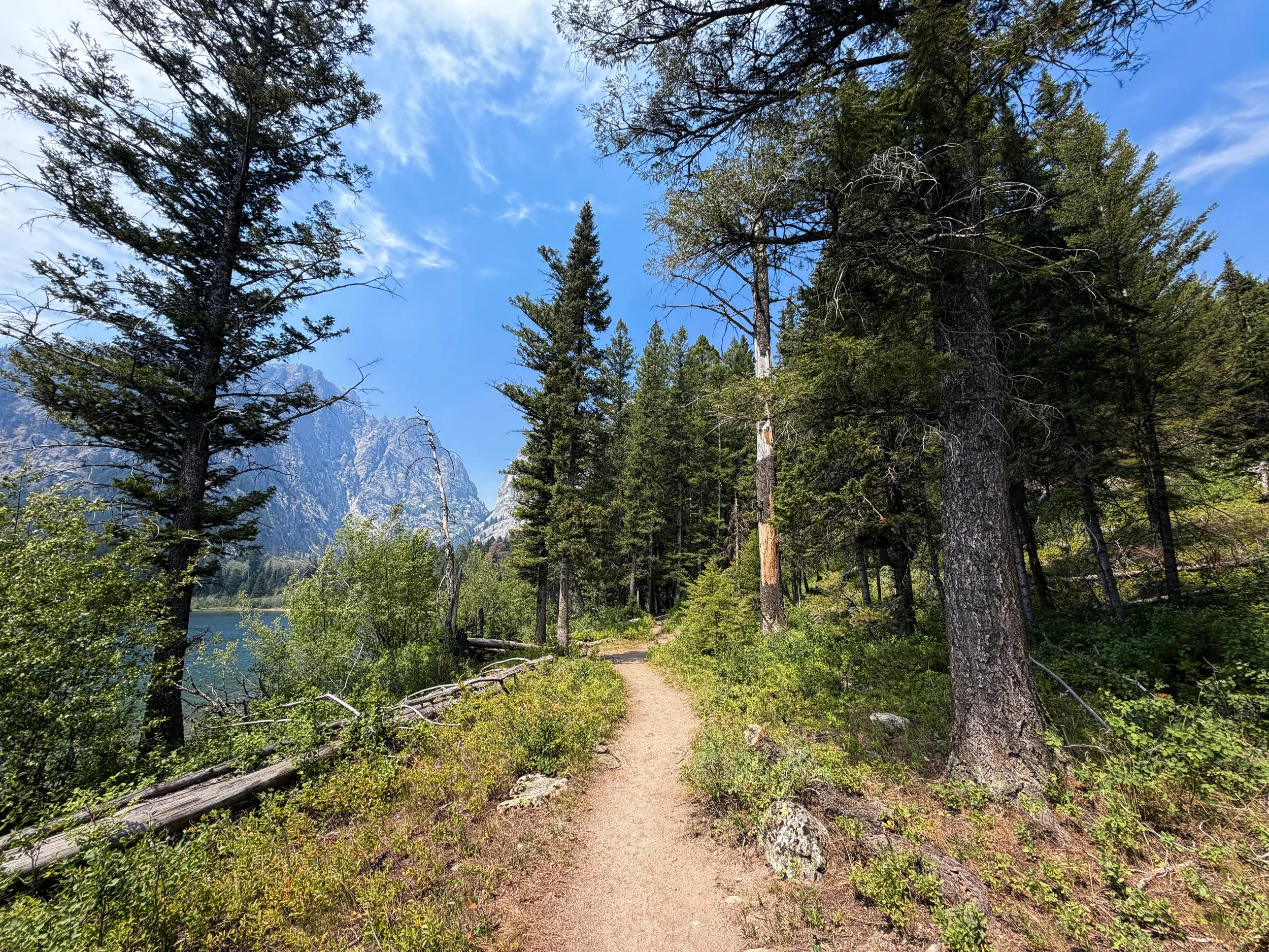 Phelps Lake Loop Trail Grand Teton National Park Wyoming