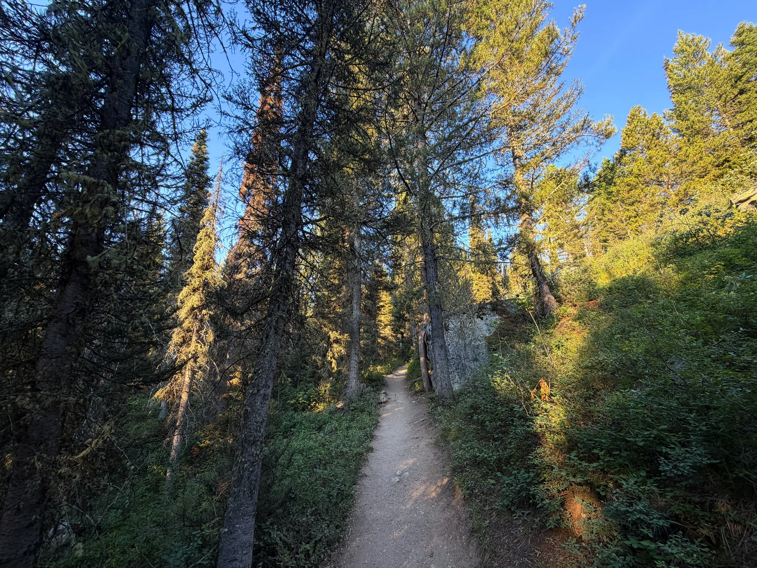 Delta Lake Trail Grand Teton National Park Wyoming
