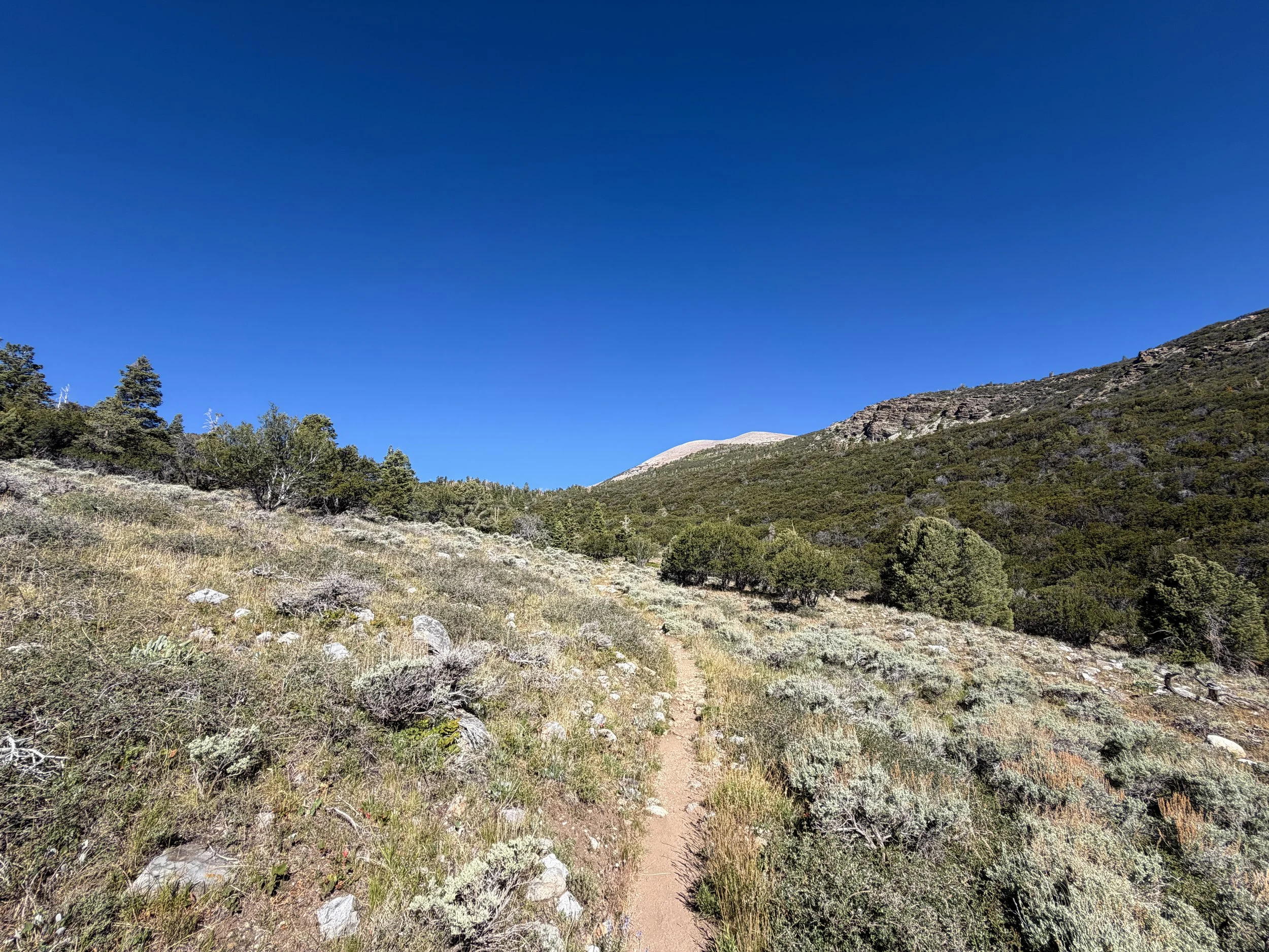 Baker Lake Hike Great Basin National Park Nevada
