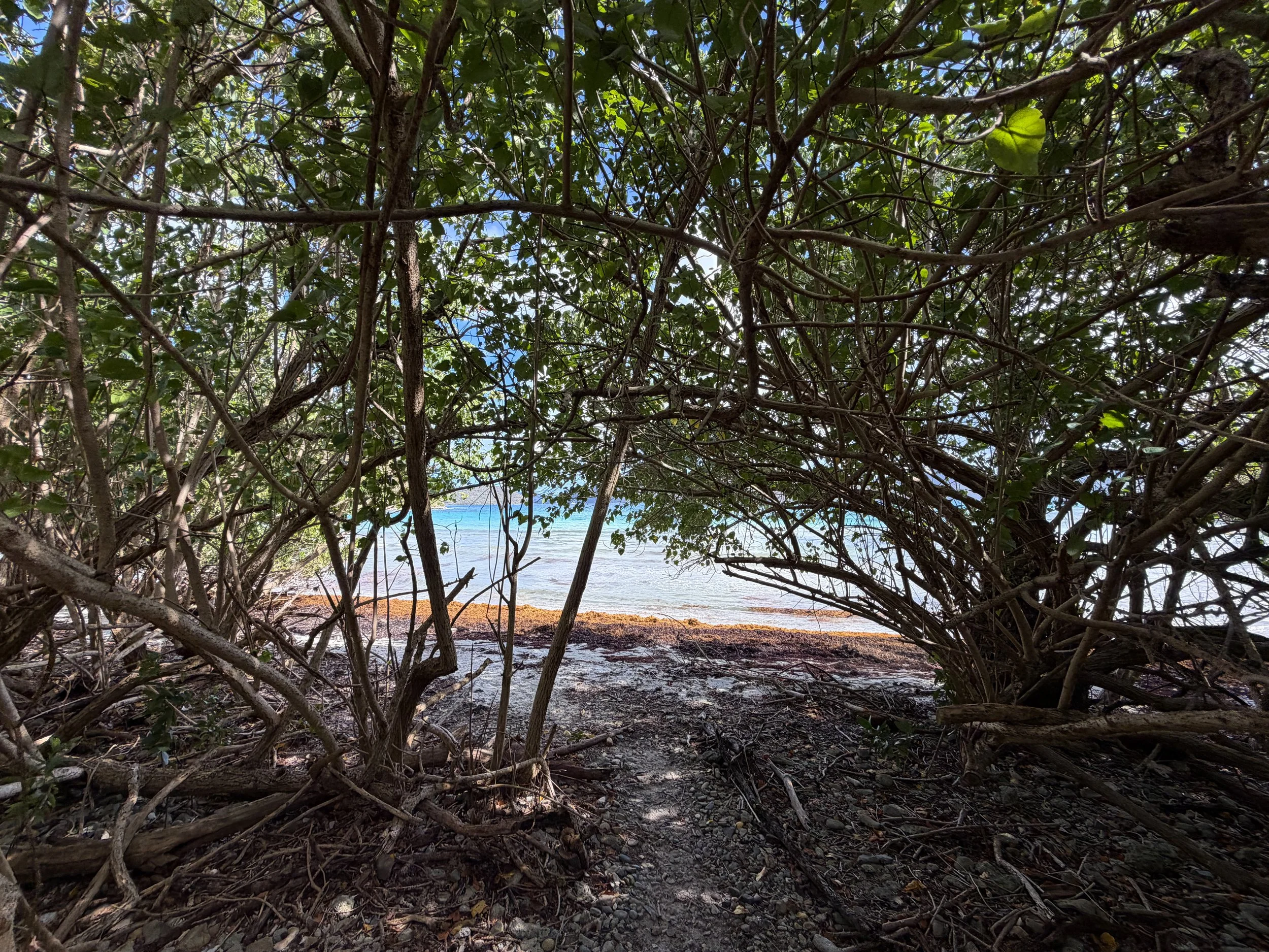 Brown Bay Beach Trail Virgin Islands National Park