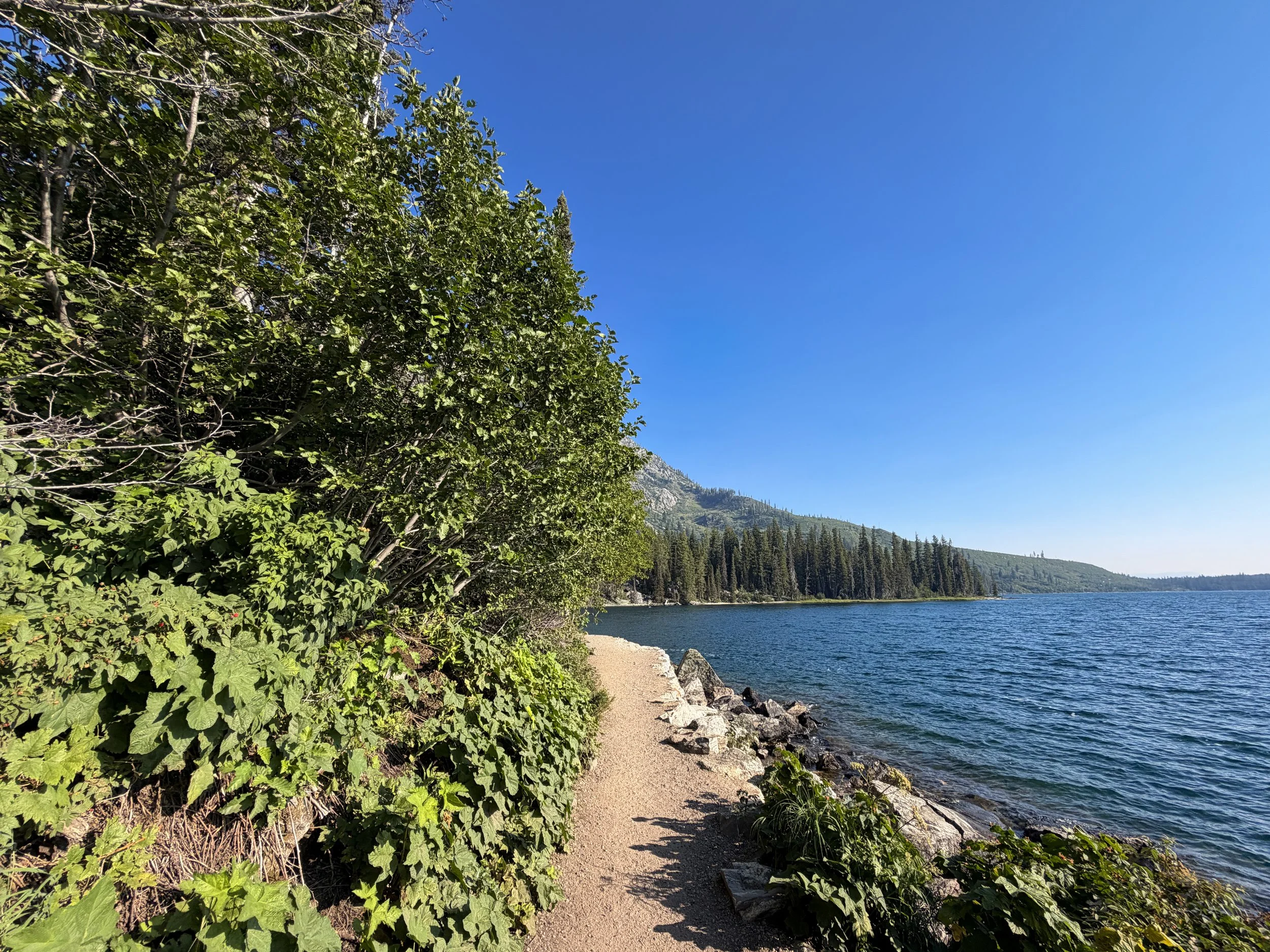 Hidden Falls Trail Grand Teton National Park Wyoming