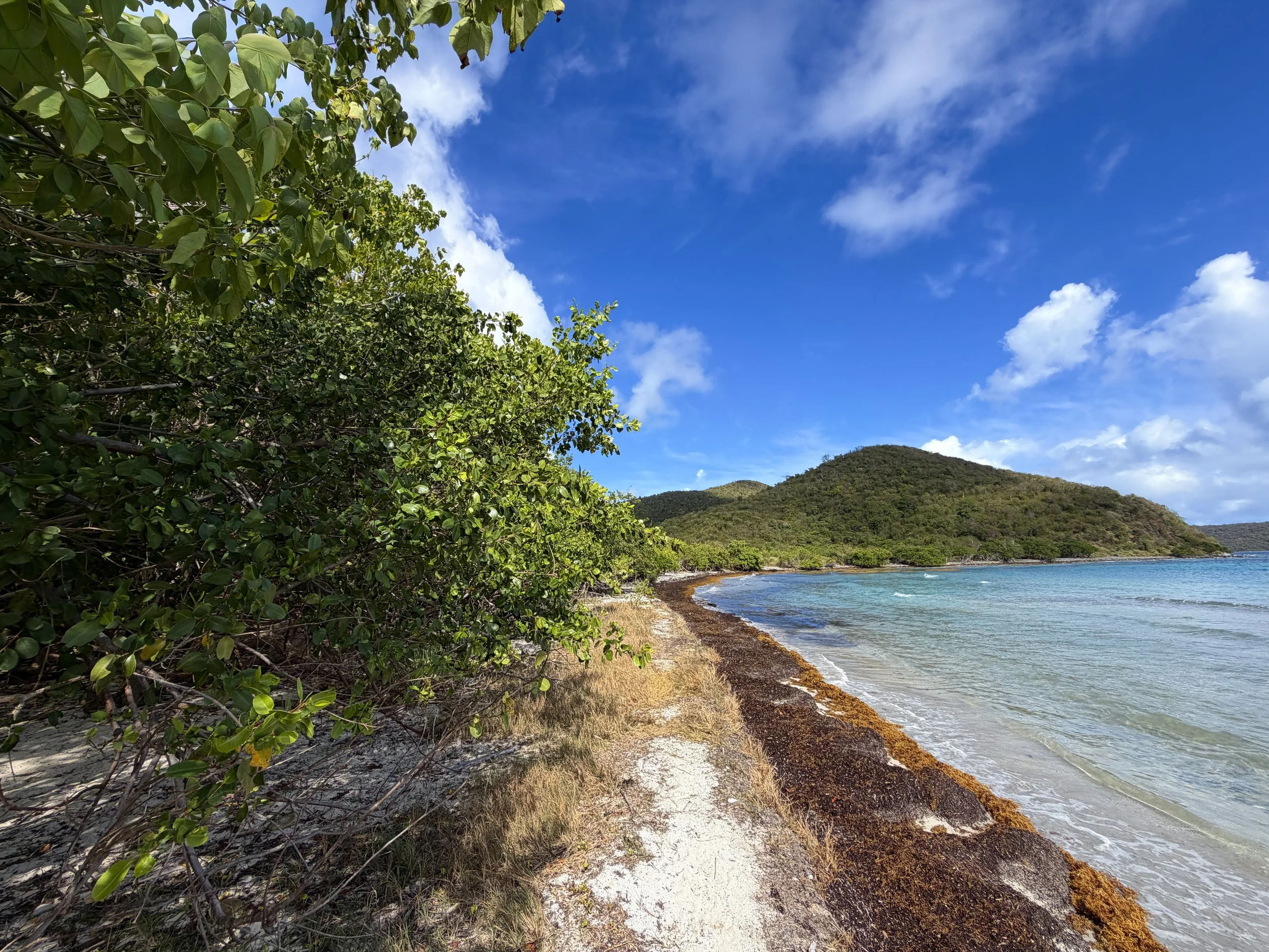 Brown Bay Beach Virgin Islands National Park
