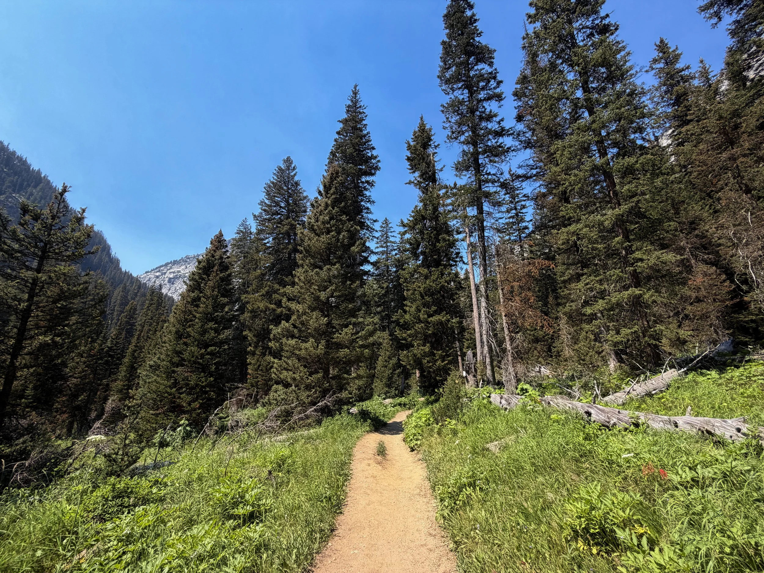 Cascade Canyon Trail Grand Teton National Park Wyoming