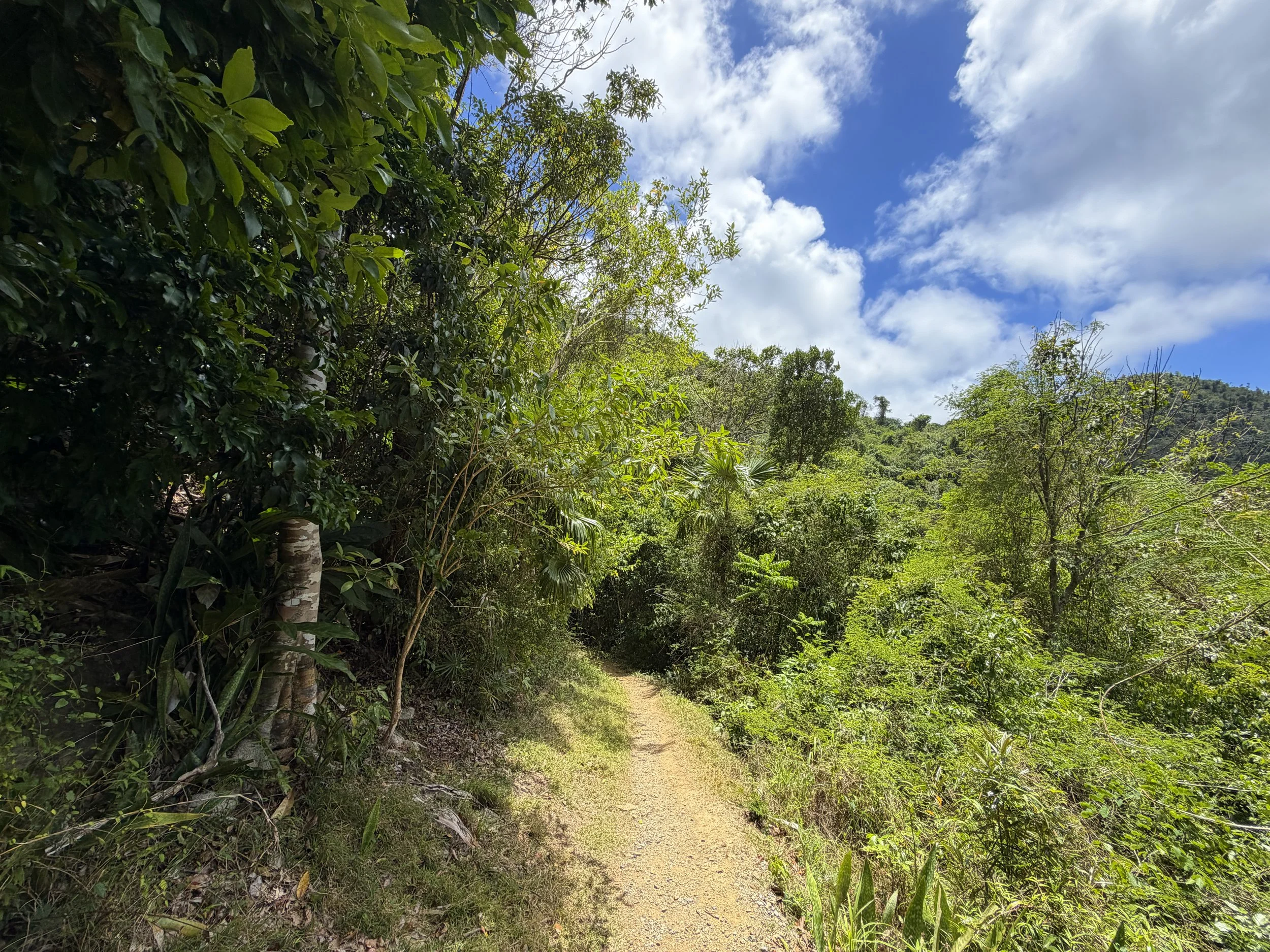 Reef Bay Trail Virgin Islands National Park