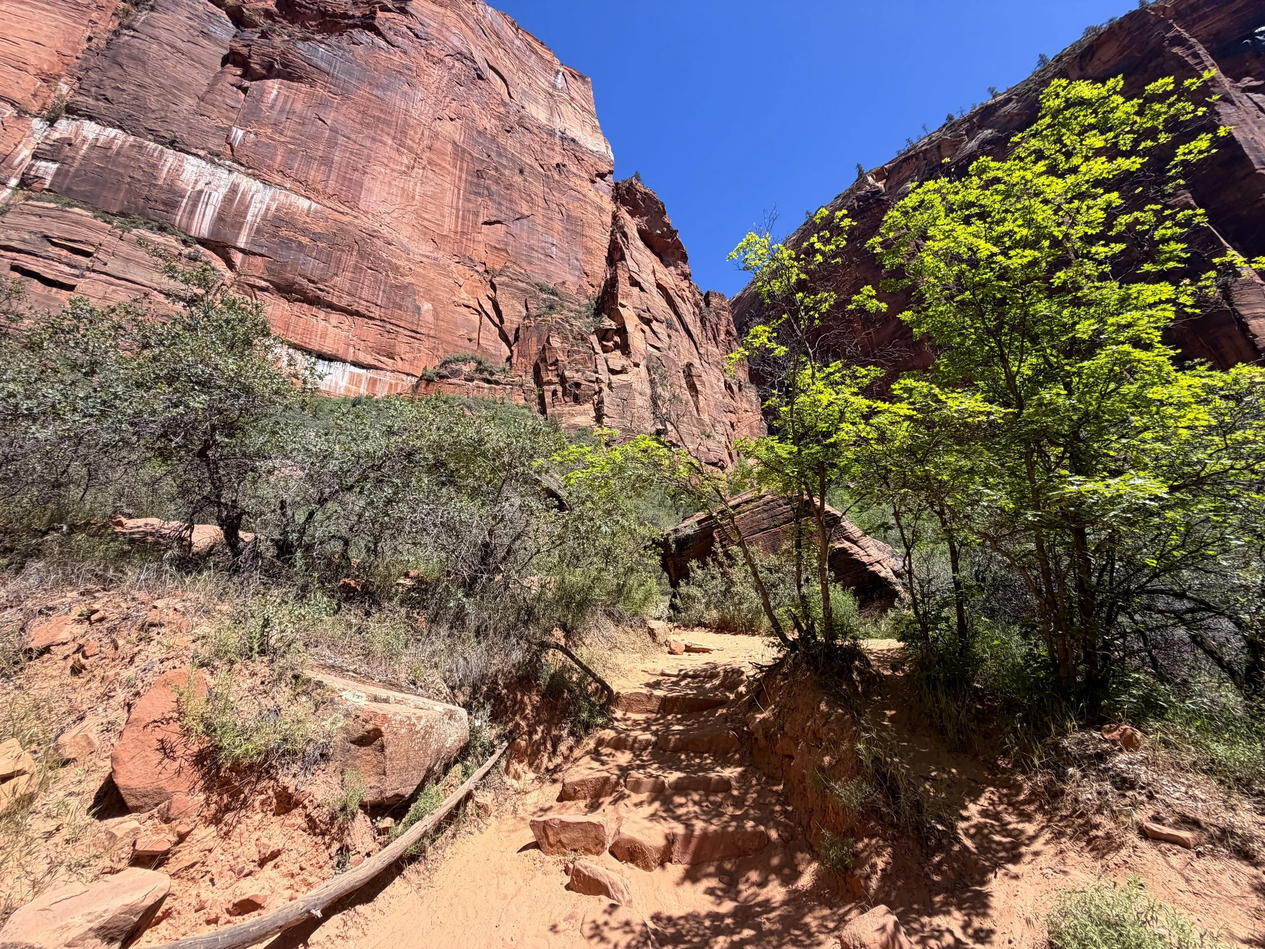 Upper Emerald Pools Trail Zion National Park Utah