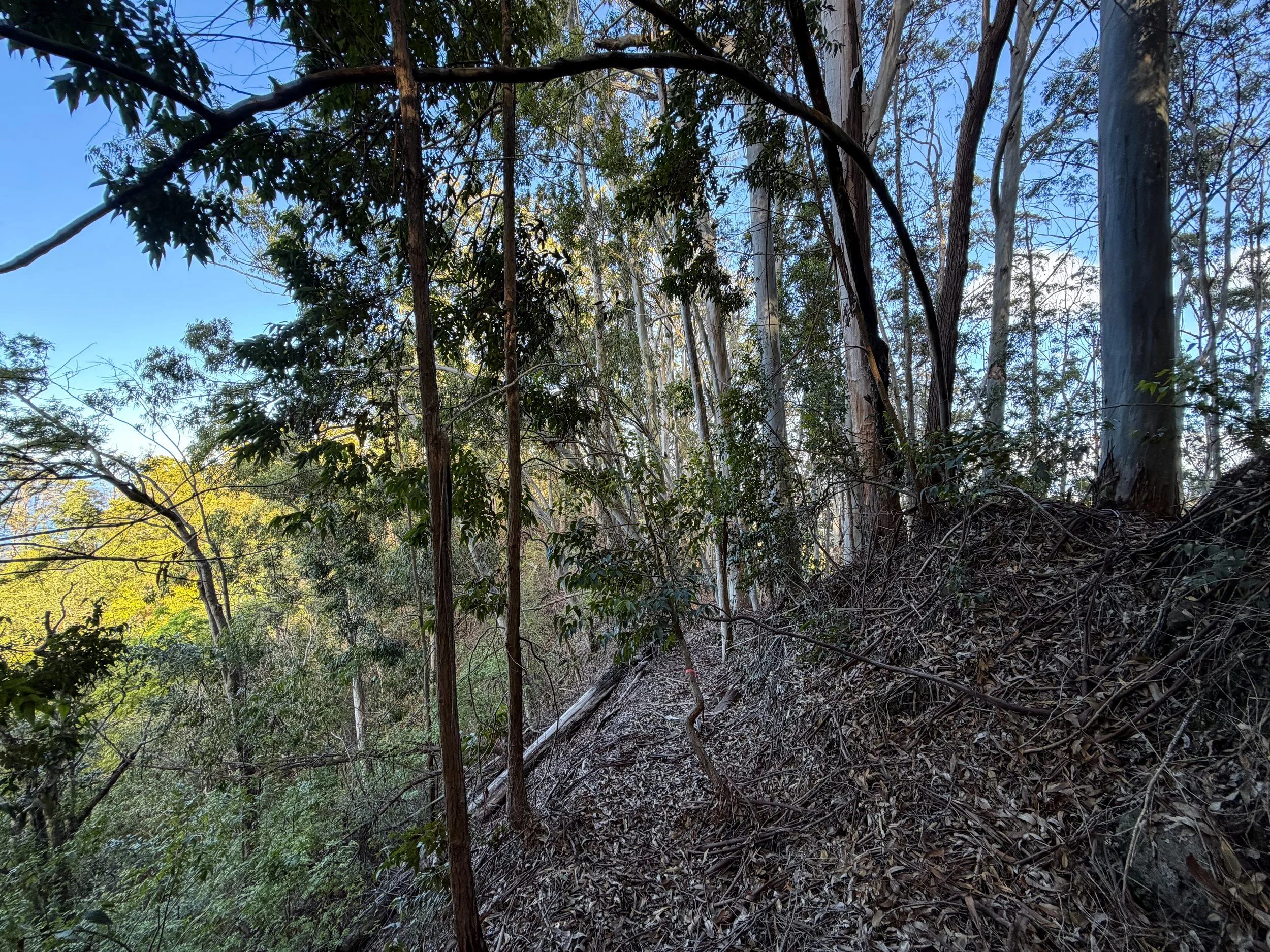 Mokuleia Trail Oahu Hawaii