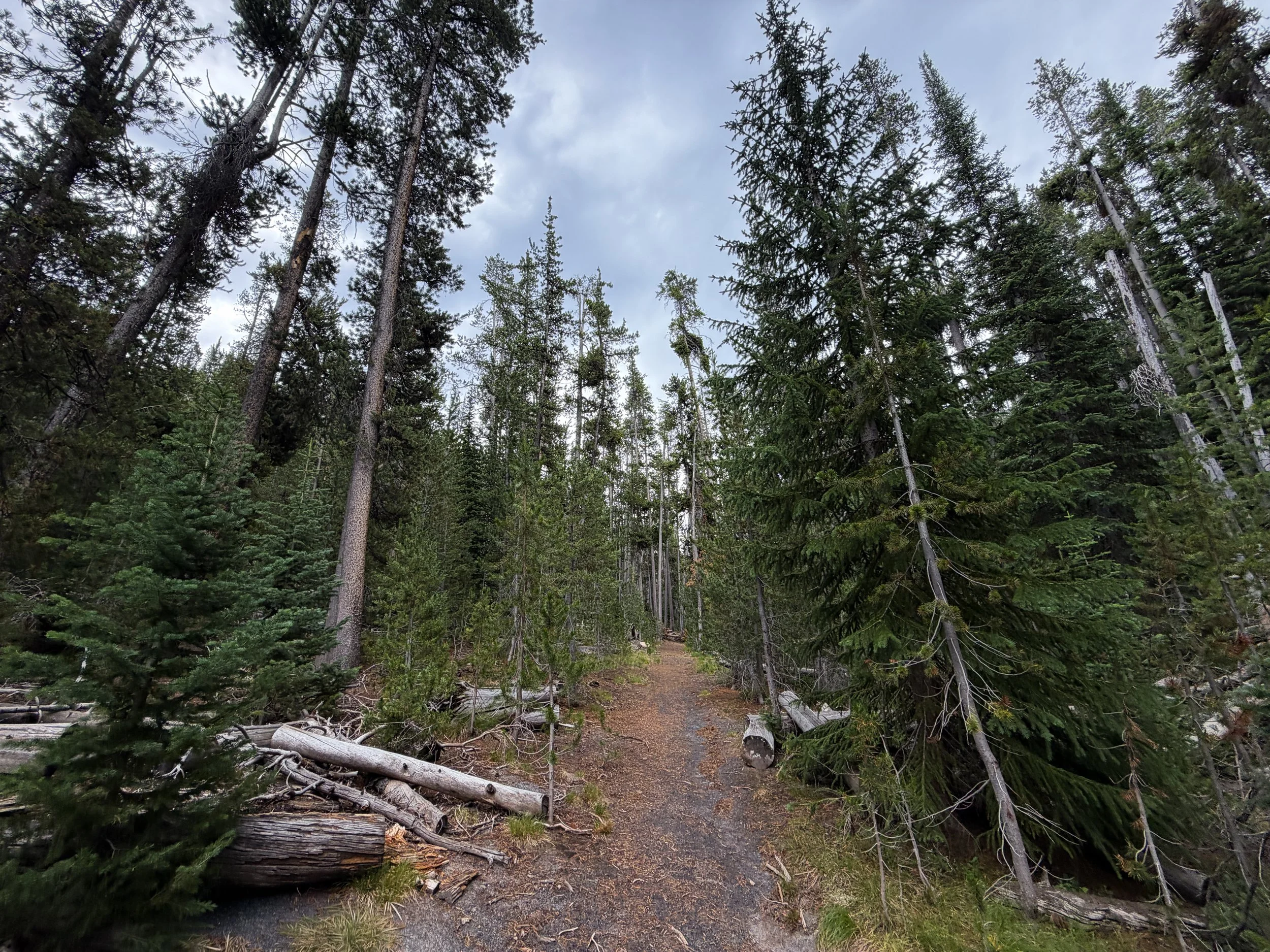 Divide Mountain Trail Yellowstone National Park Wyoming