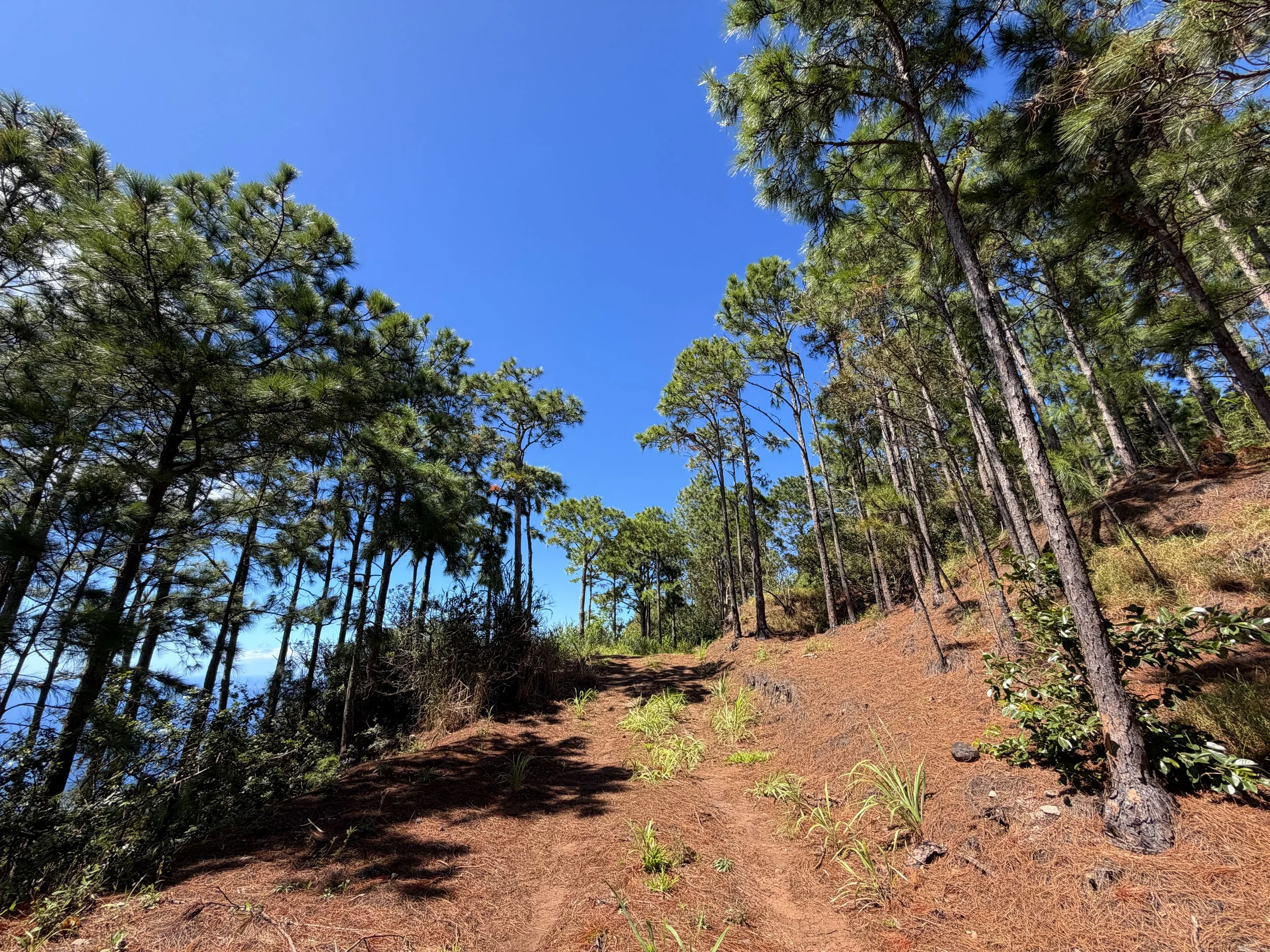 Kuaokala Trail Oahu Hawaii