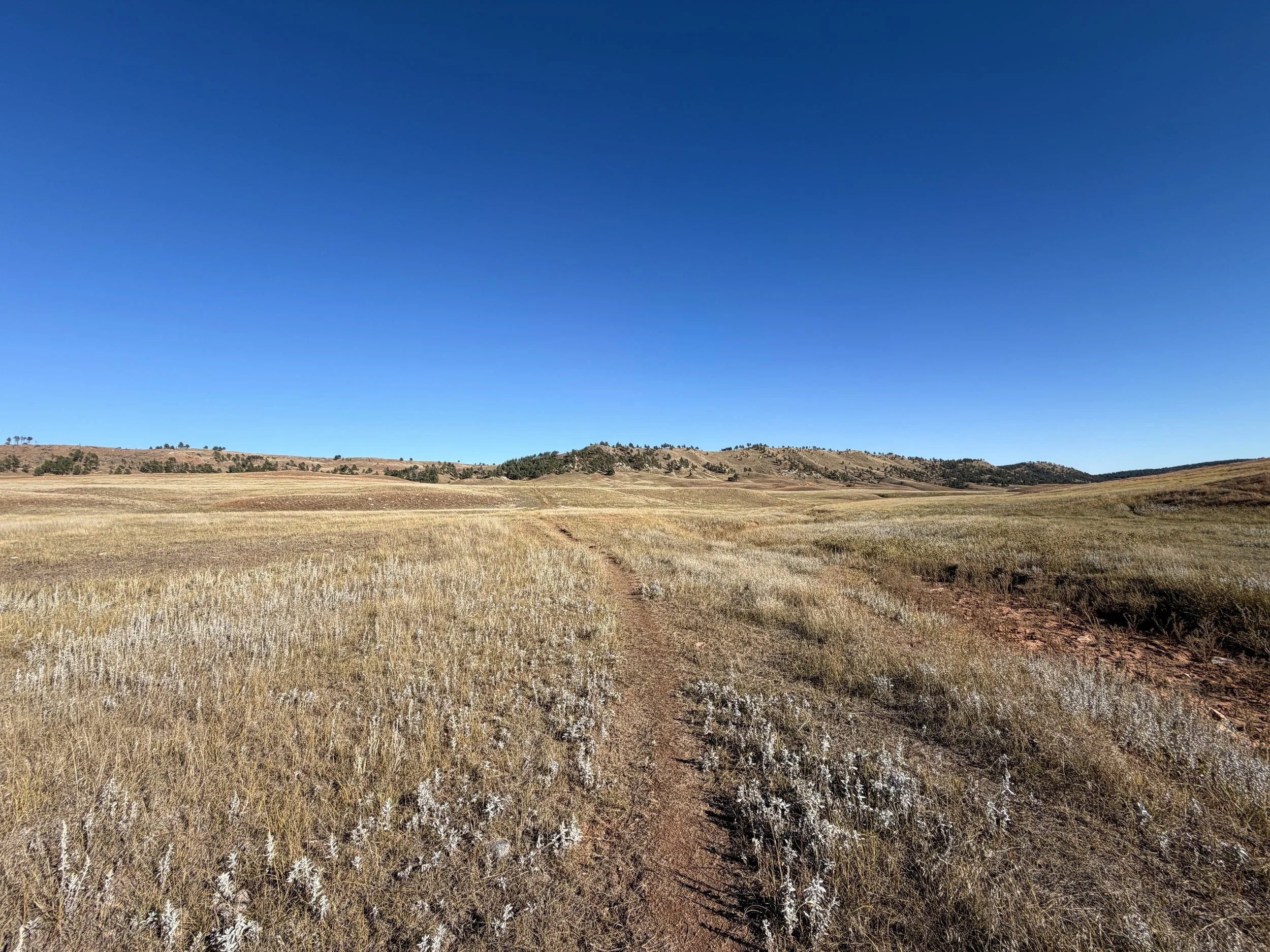 Boland Ridge Trail Wind Cave National Park South Dakota