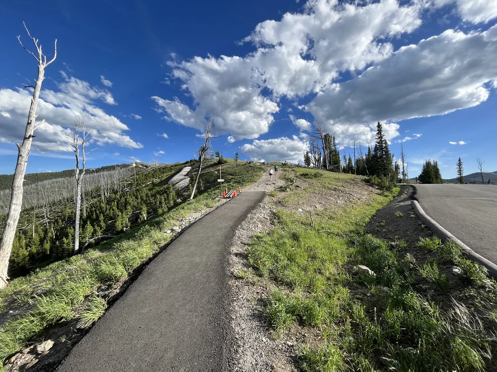 Hiking Mt. Washburn via Chittenden Road in Yellowstone National Park