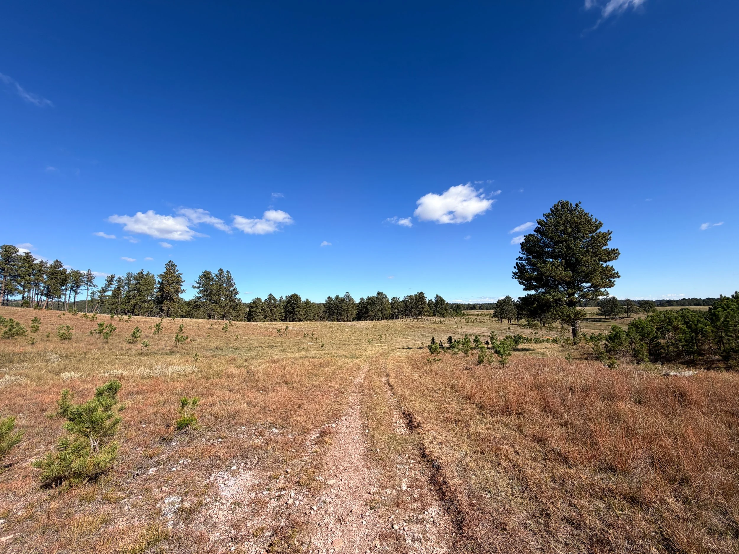 Lookout Point Hike Wind Cave National Park South Dakota