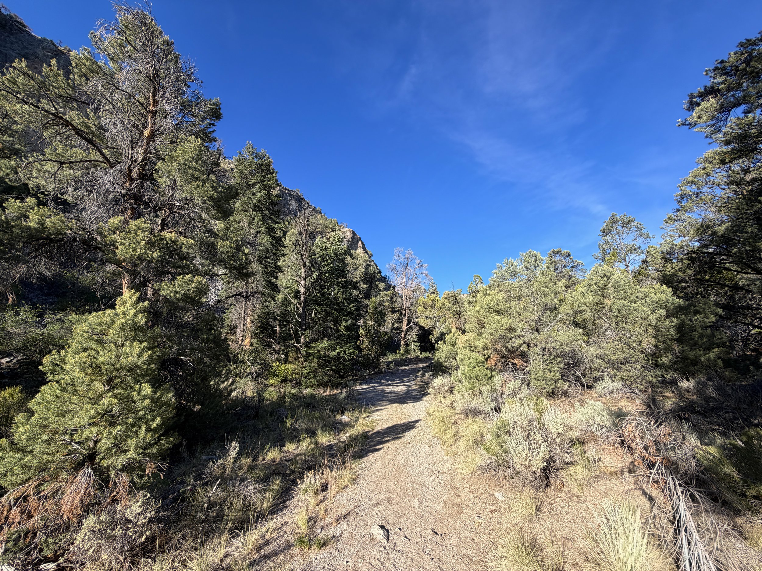 Pole Canyon Trail Great Basin National Park Nevada