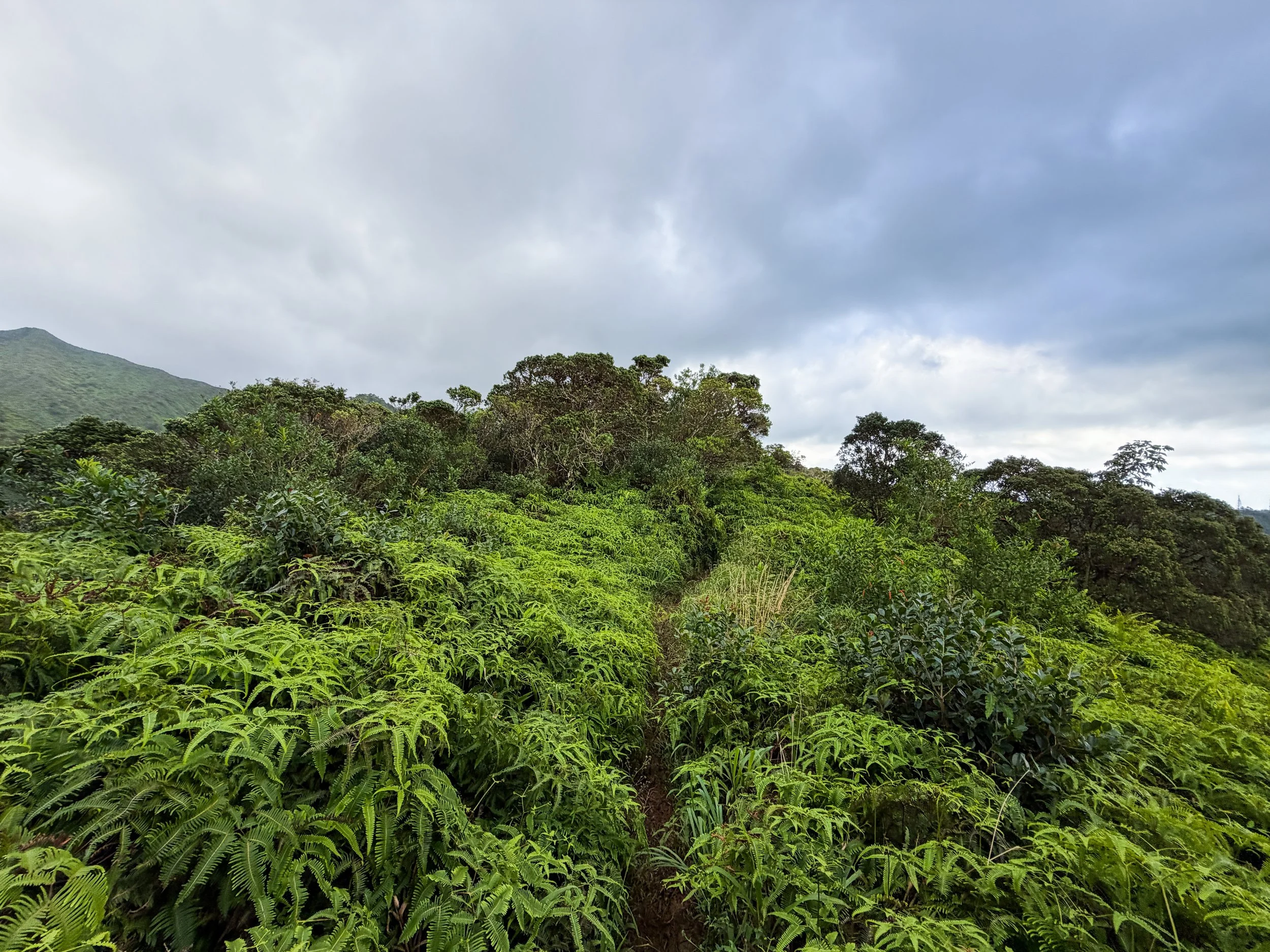 Kaau Crater Trail Oahu Hawaii