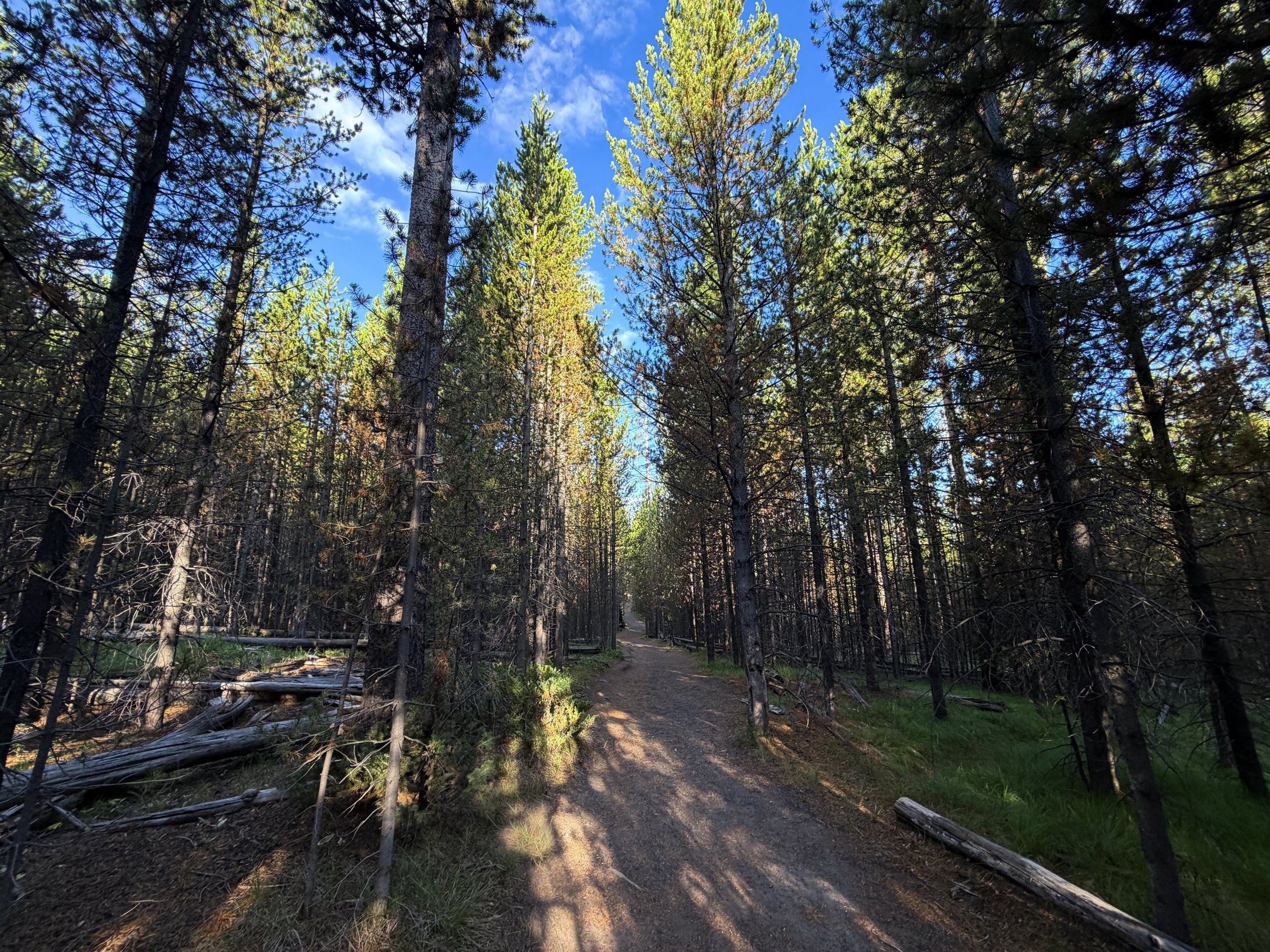 Fairy Falls Trail Yellowstone National Park Wyoming