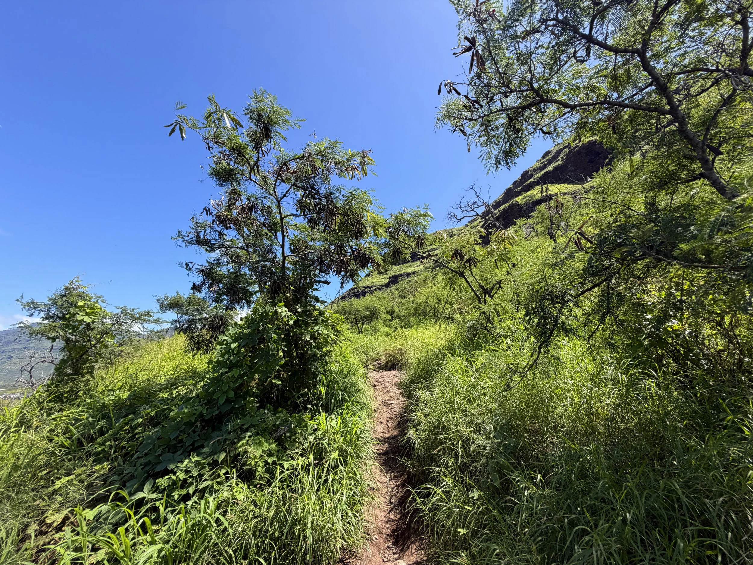 Pink Pillbox Trail Oahu Hawaii