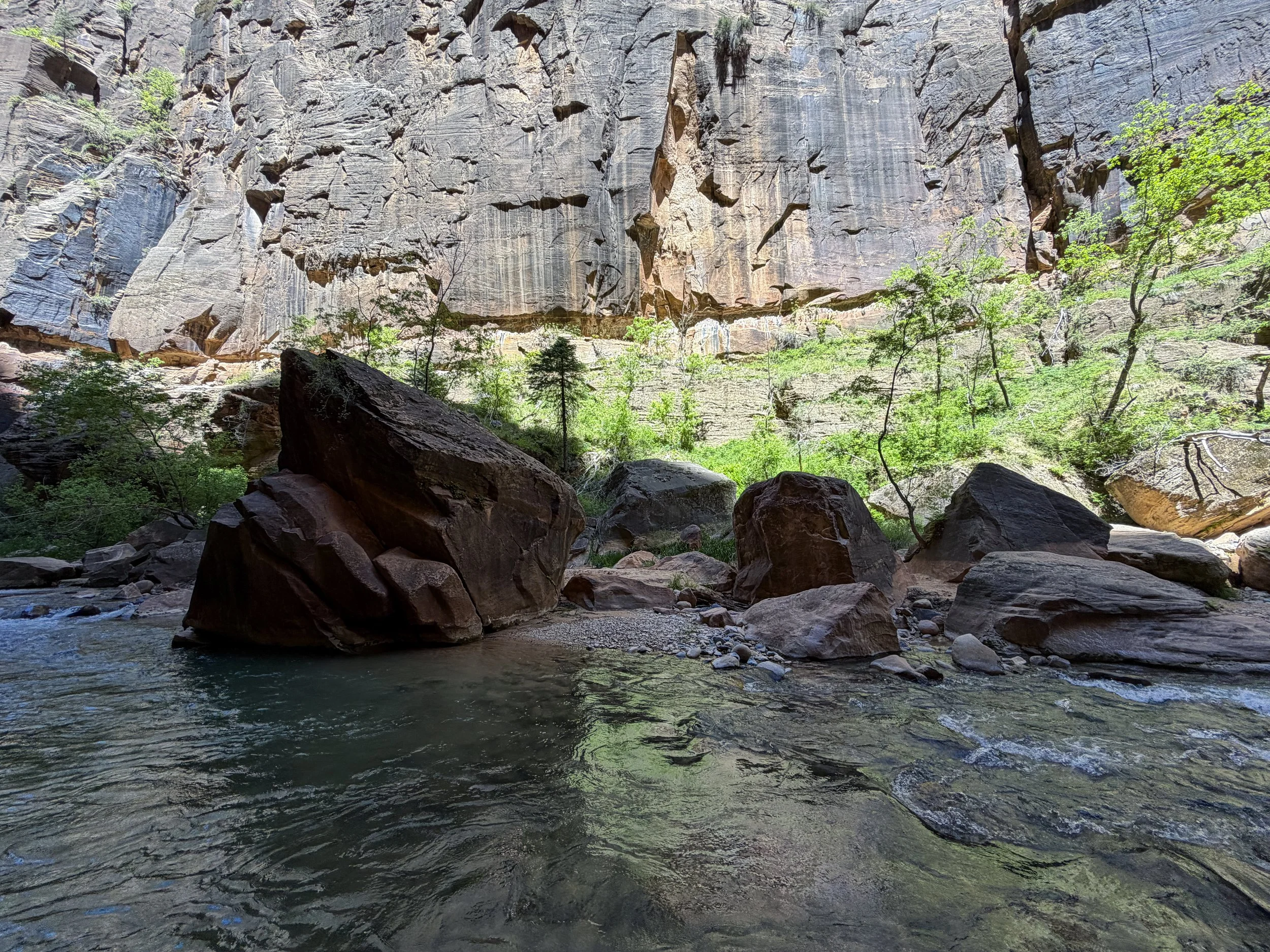 The Narrows Bottom-Up Hike to Big Springs Zion National Park Utah