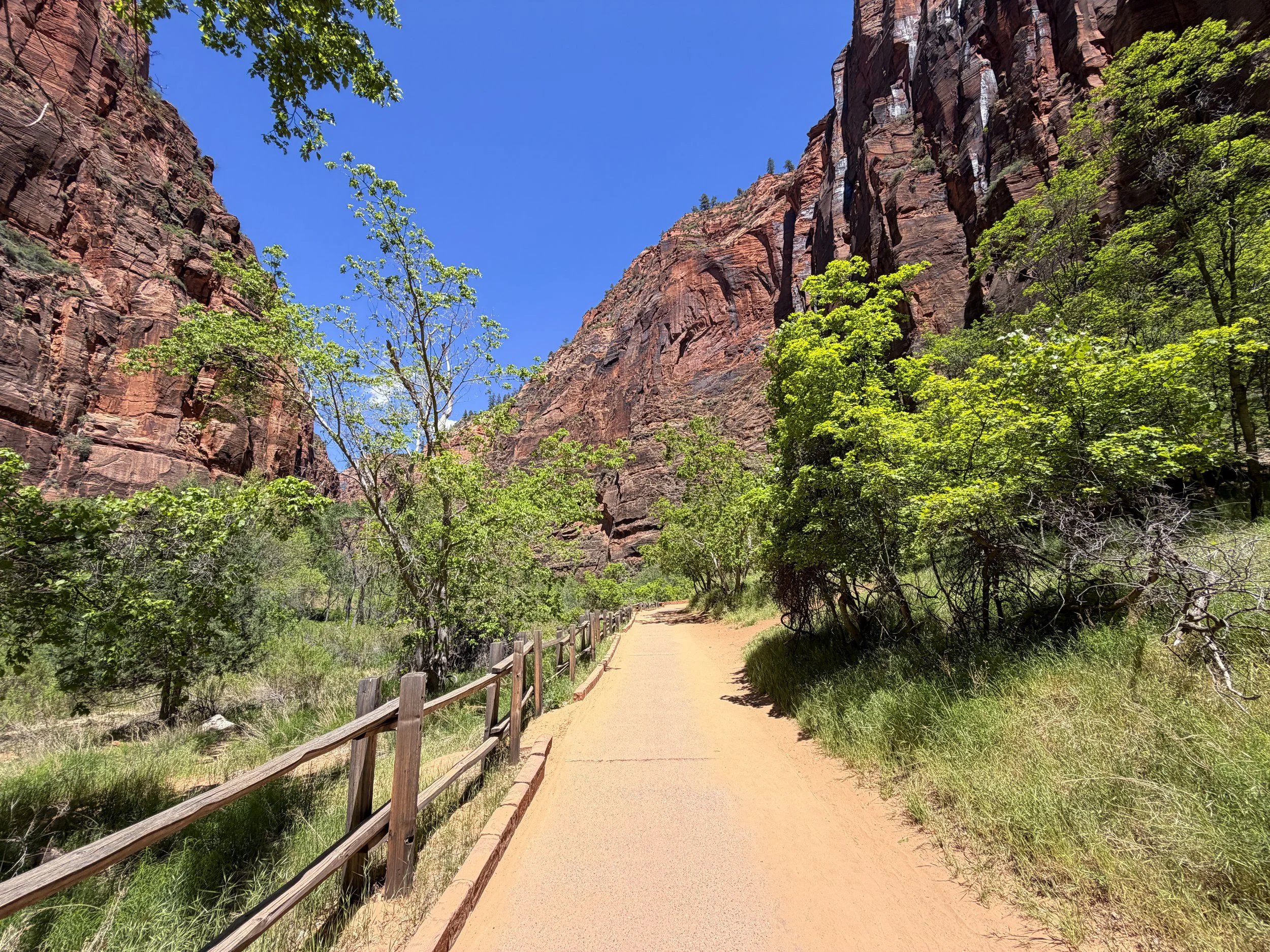 Riverside Walk Zion National Park Utah