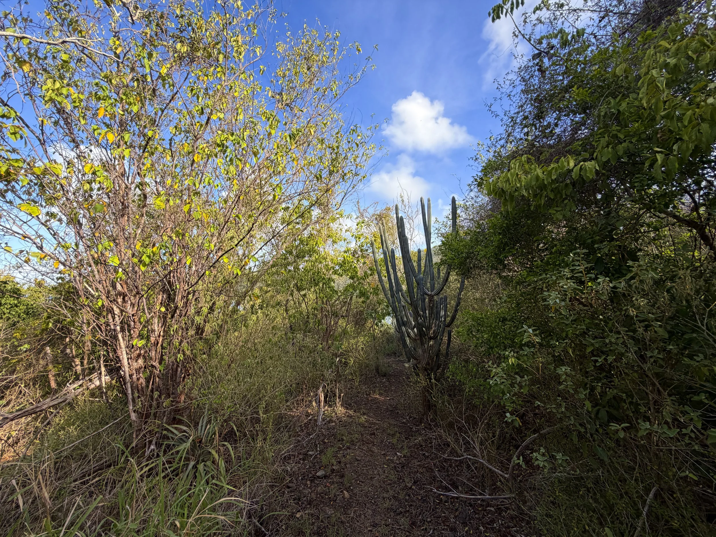 Tektite Trail Virgin Islands National Park