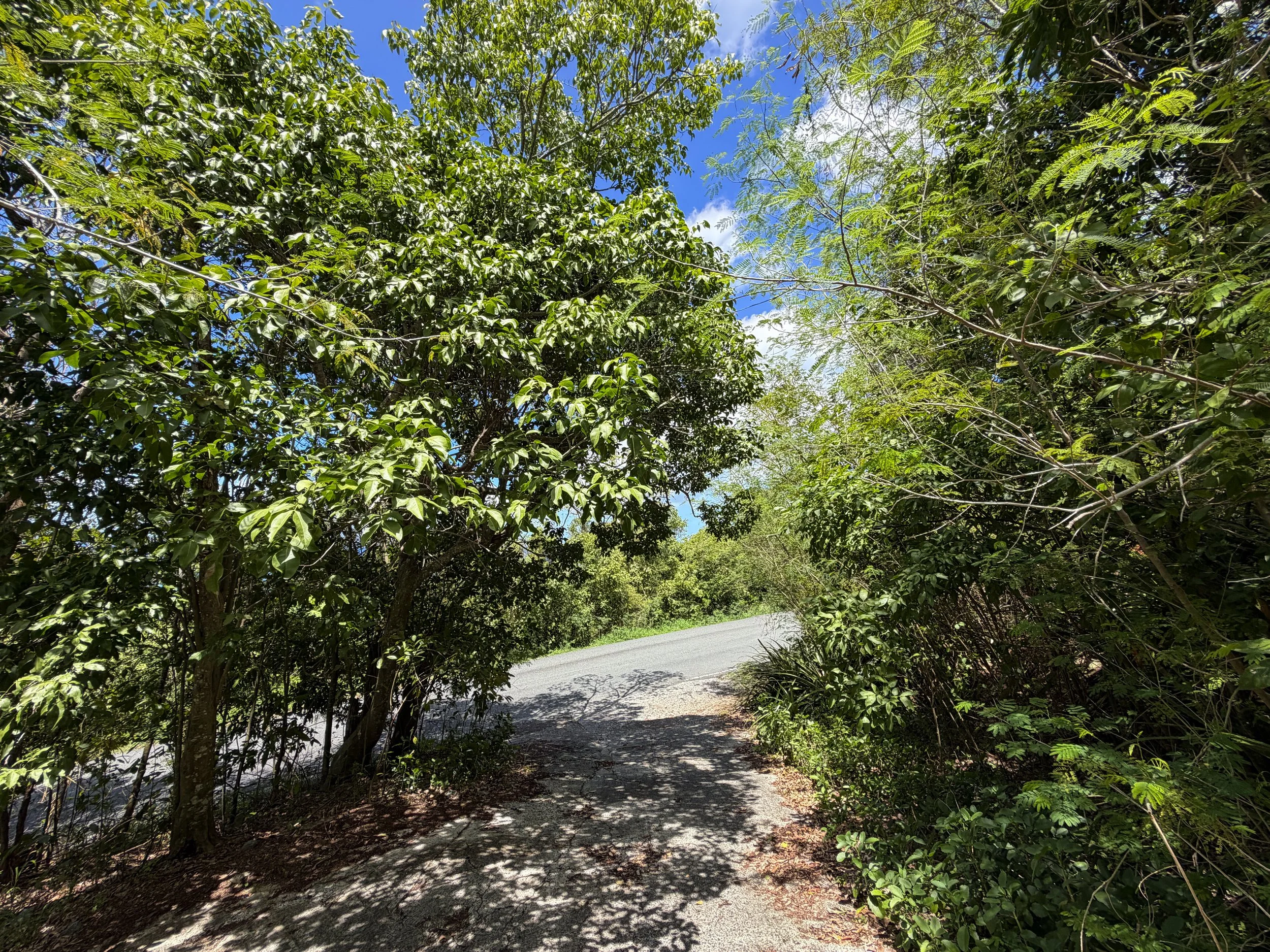 Water Catchment Trailhead Virgin Islands National Park