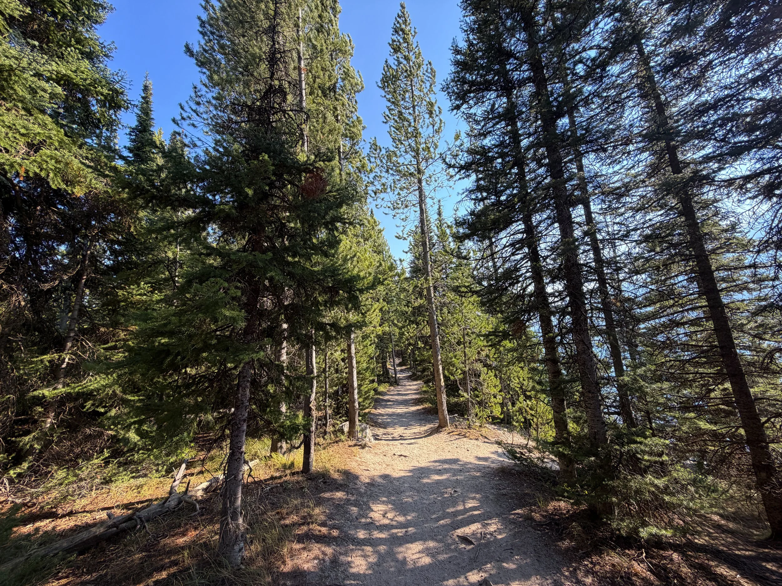 Jenny Lake Loop Trail Grand Teton National Park Wyoming