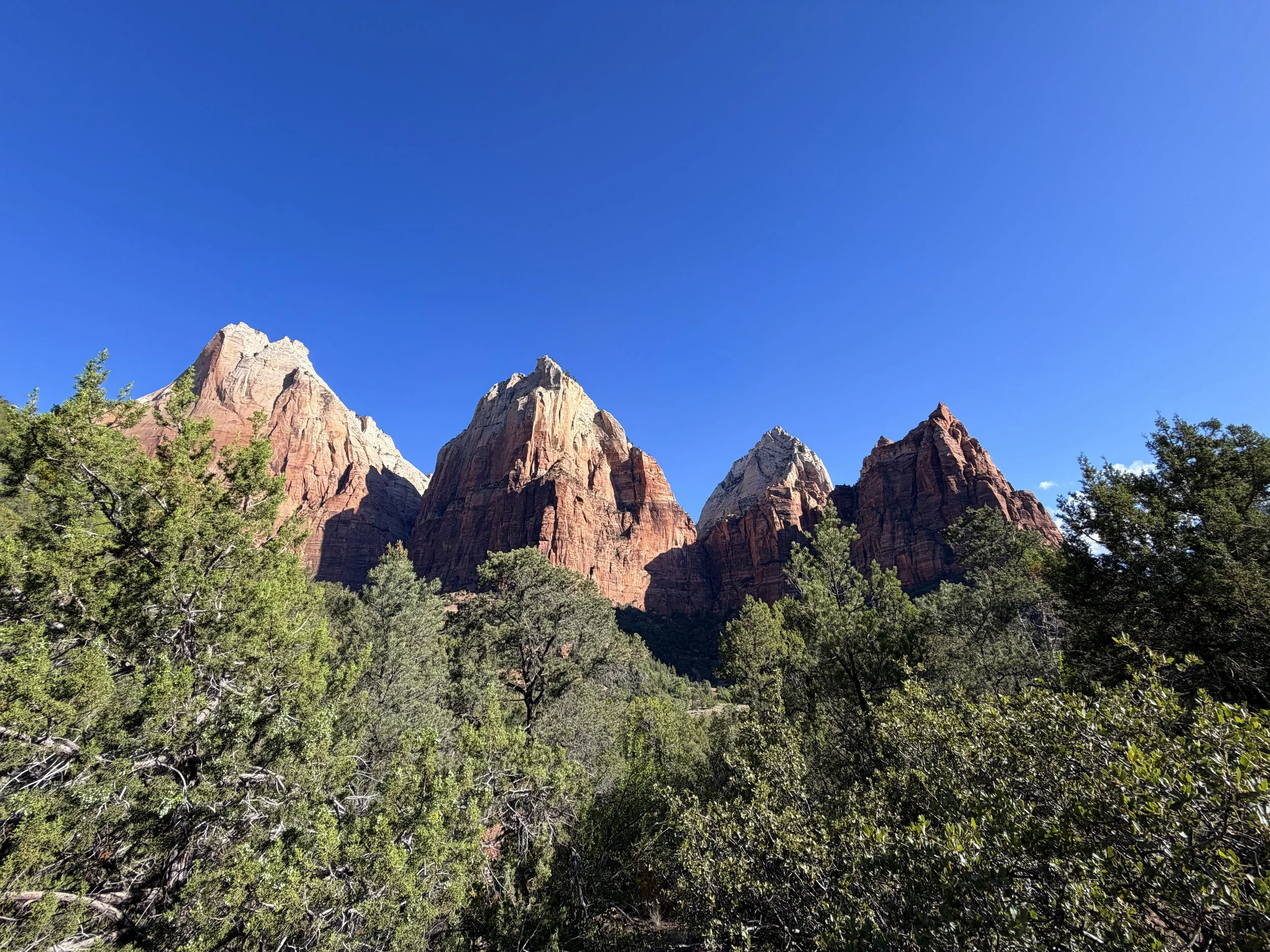 Sand Bench Loop Trail Zion National Park Utah