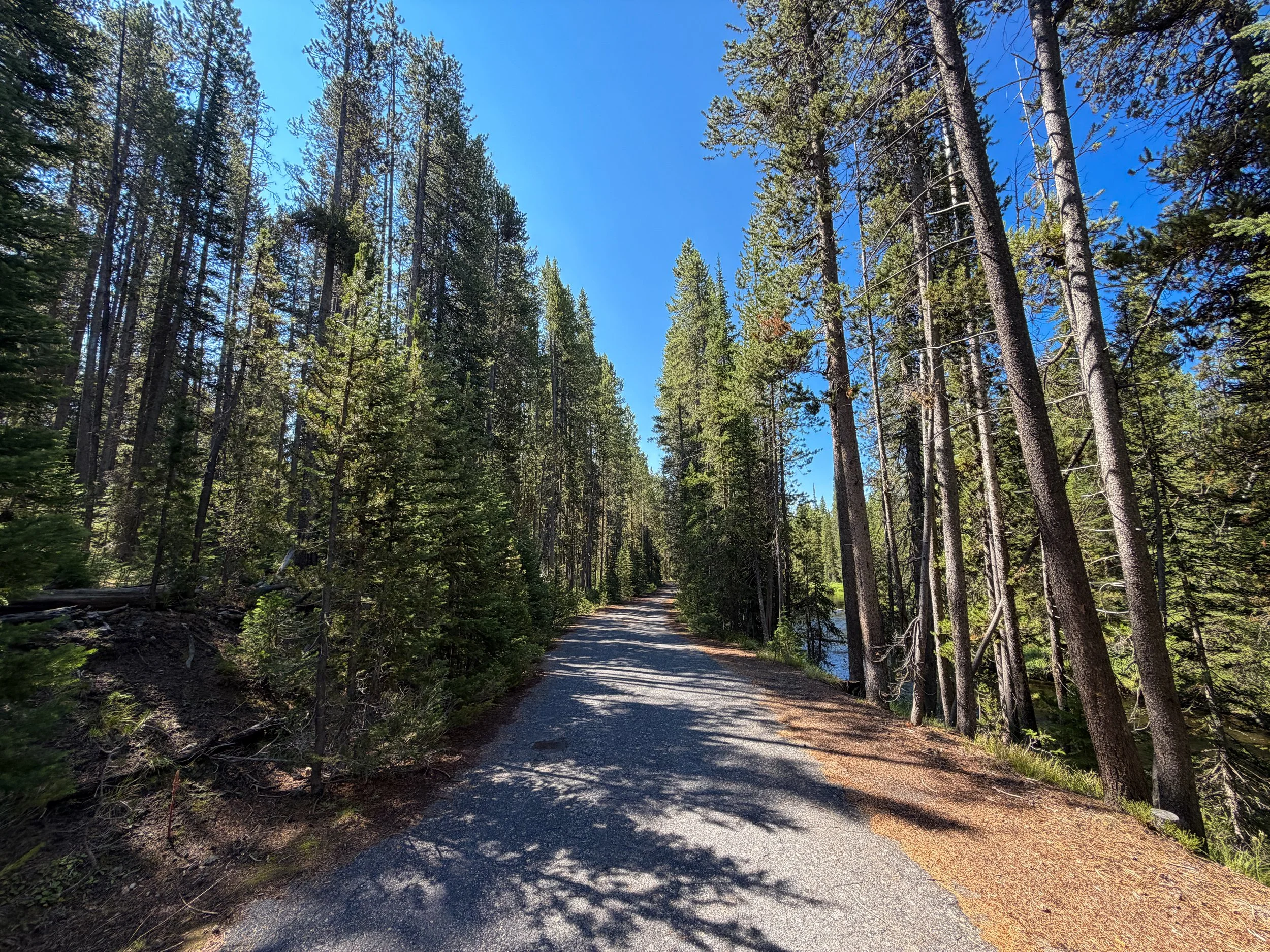 Lone Star Geyser Trail Yellowstone National Park Wyoming