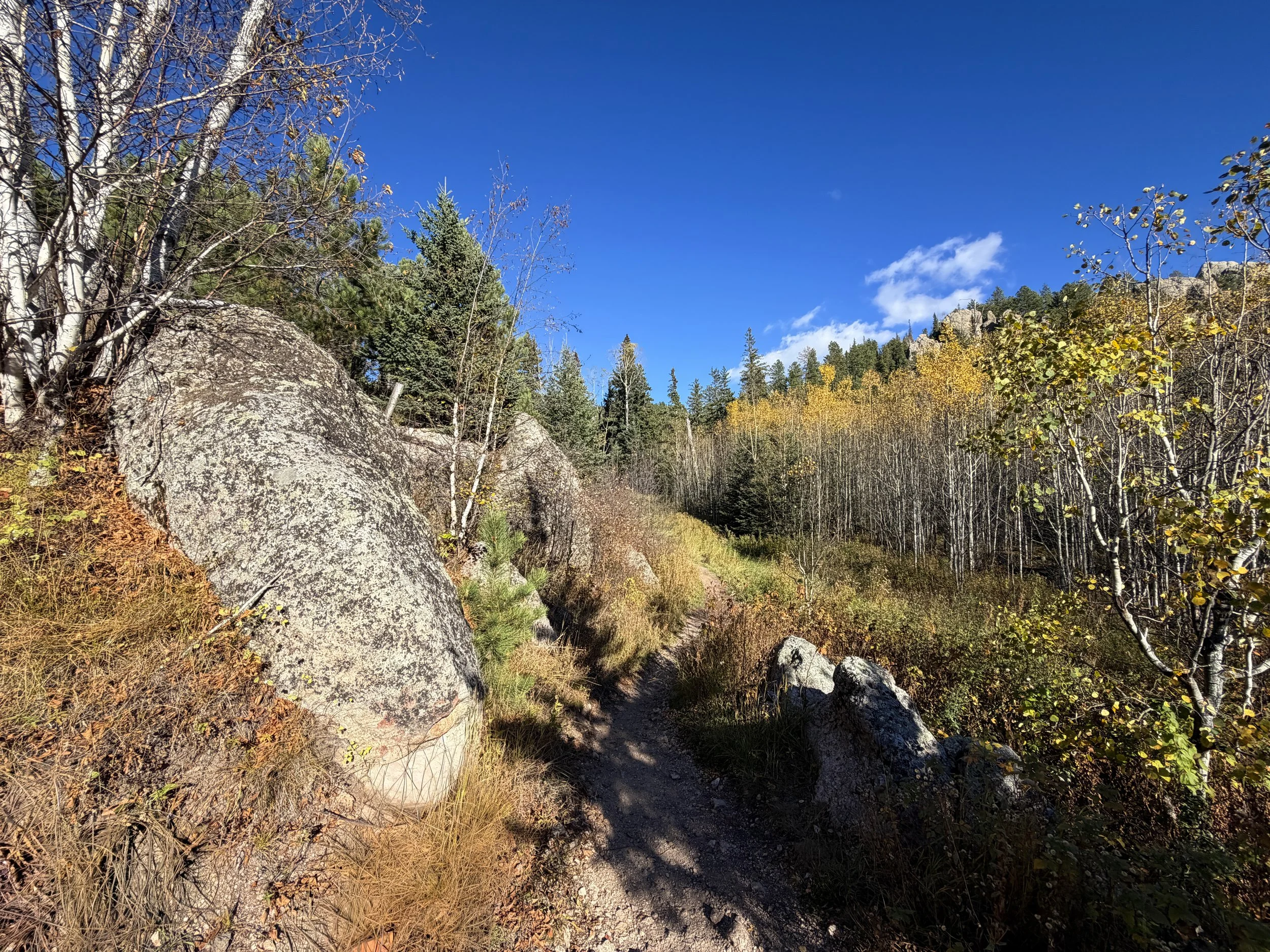 Little Devils Tower Trail Custer State Park Black Hills South Dakota