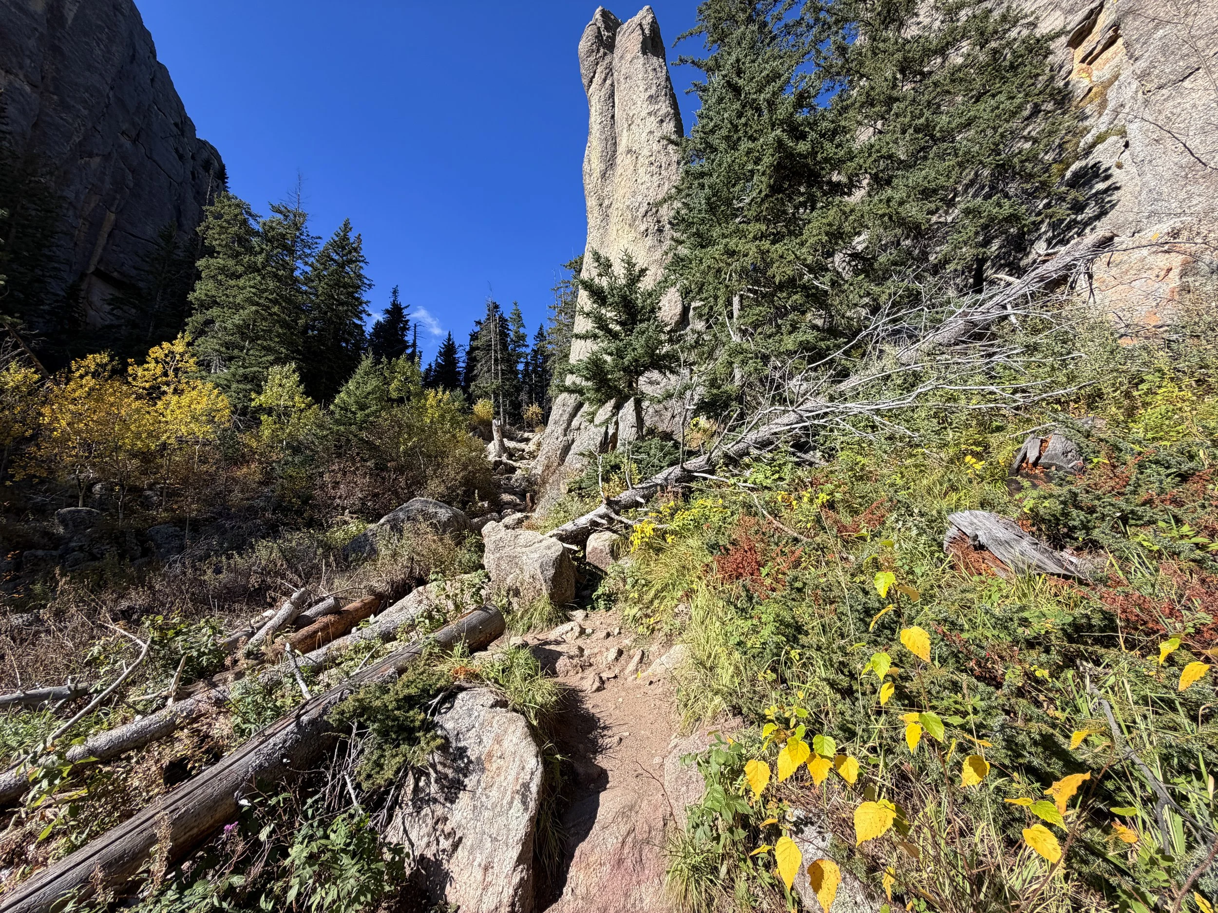 Cathedral Spires Trail Custer State Park Black Hills South Dakota