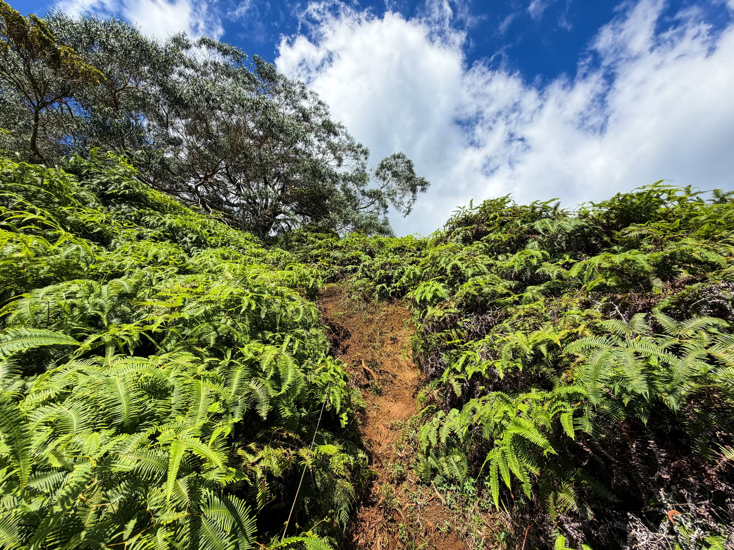Third Waterfall Climb Kaau Crater Trail Oahu Hawaii