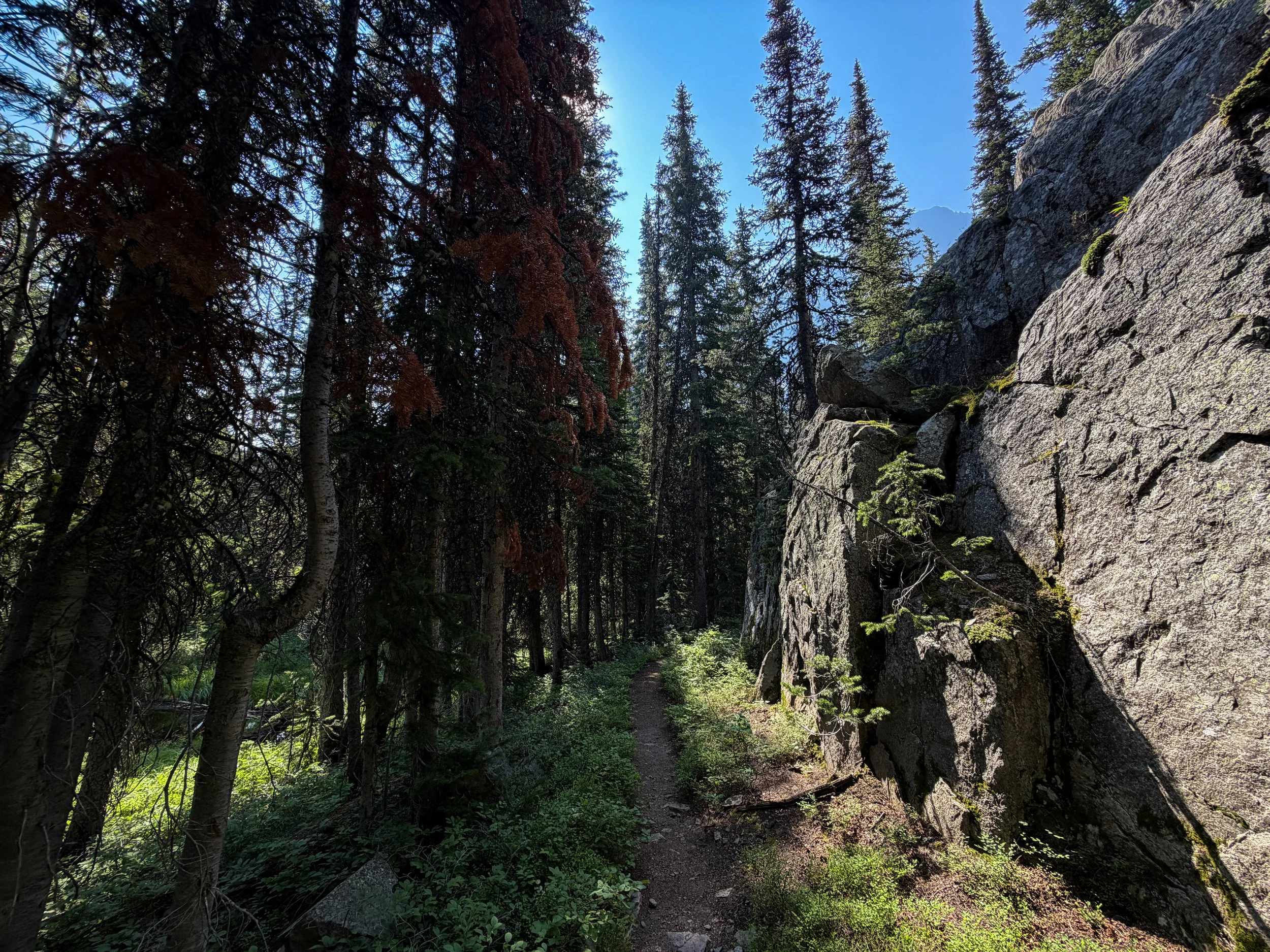 East Rosebud Trail The Beaten Path Beartooth Mountains Montana