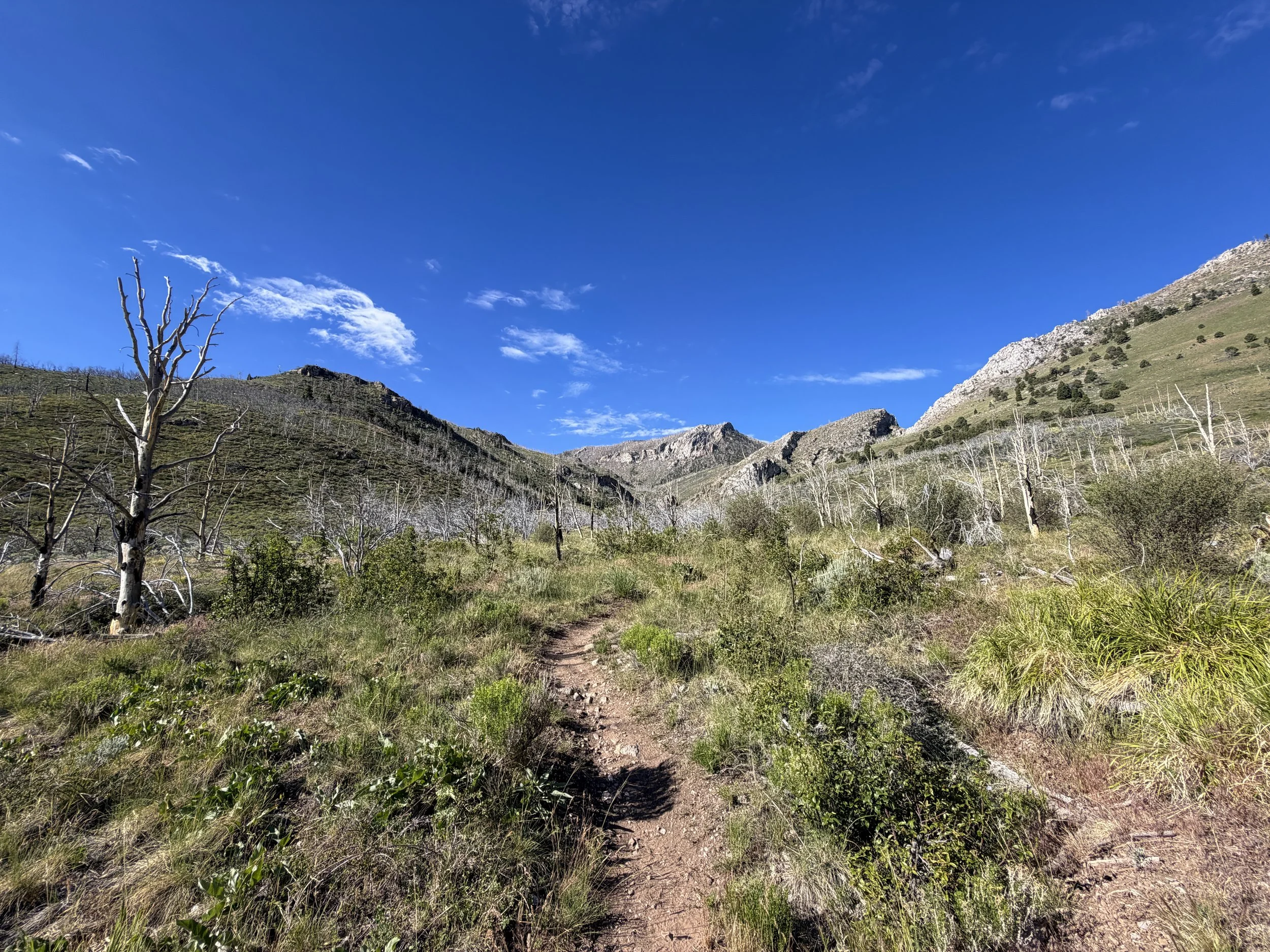 Lexington Arch Trail Great Basin National Park Nevada