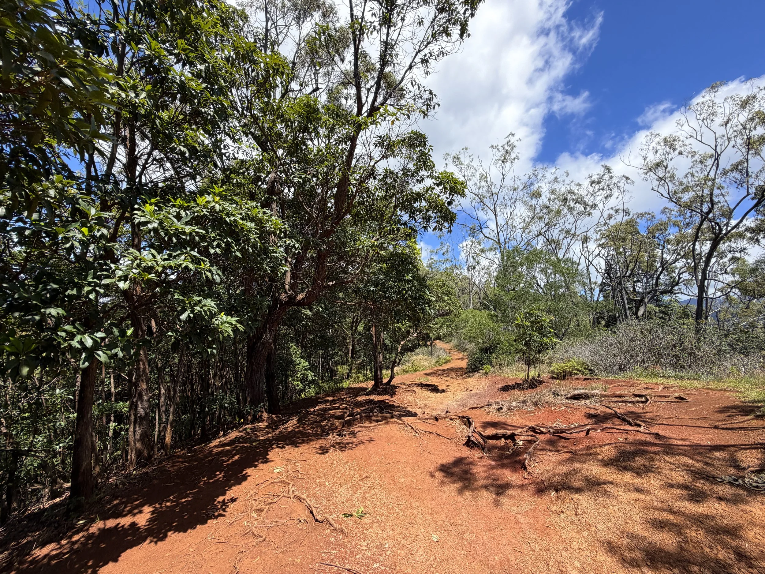 Waimano Falls Hike Oahu Hawaii