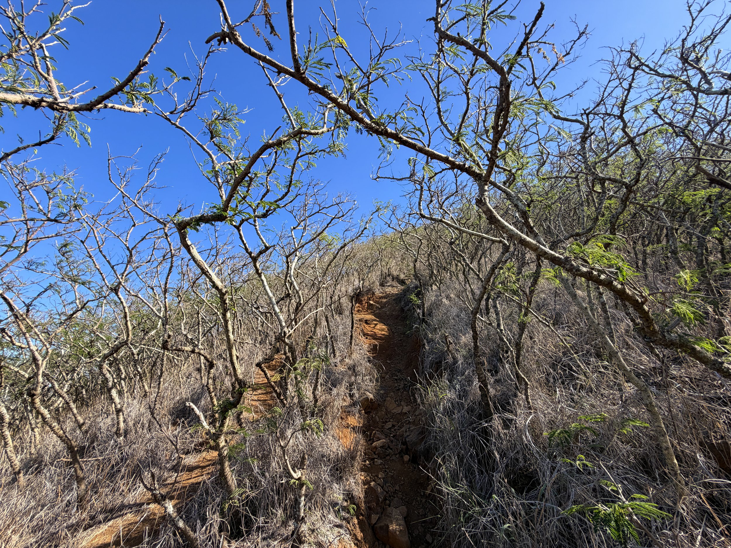 Back Lanikai Pillbox Trail Oahu Hawaii
