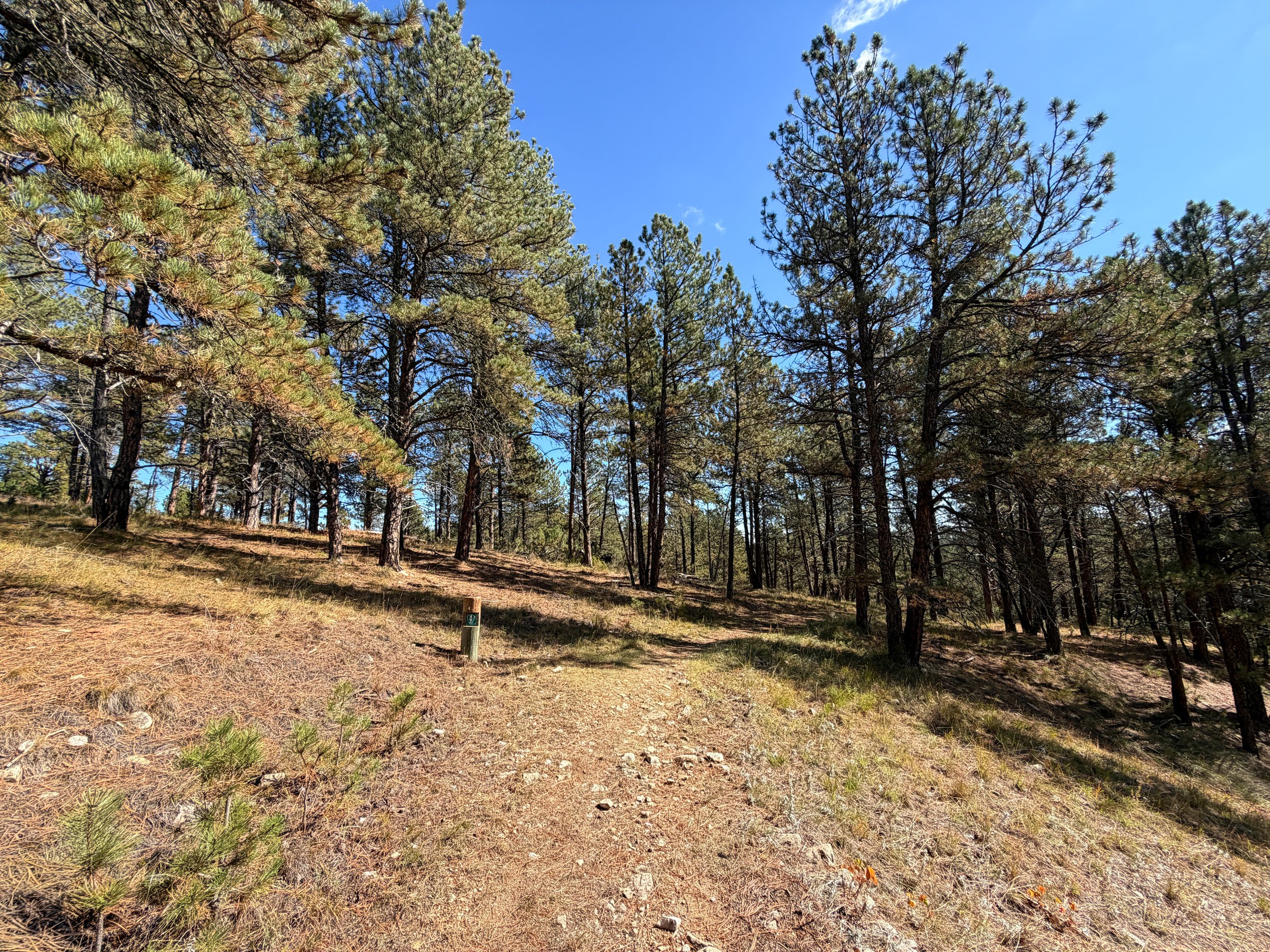 Lookout Point Loop Trail Wind Cave National Park South Dakota