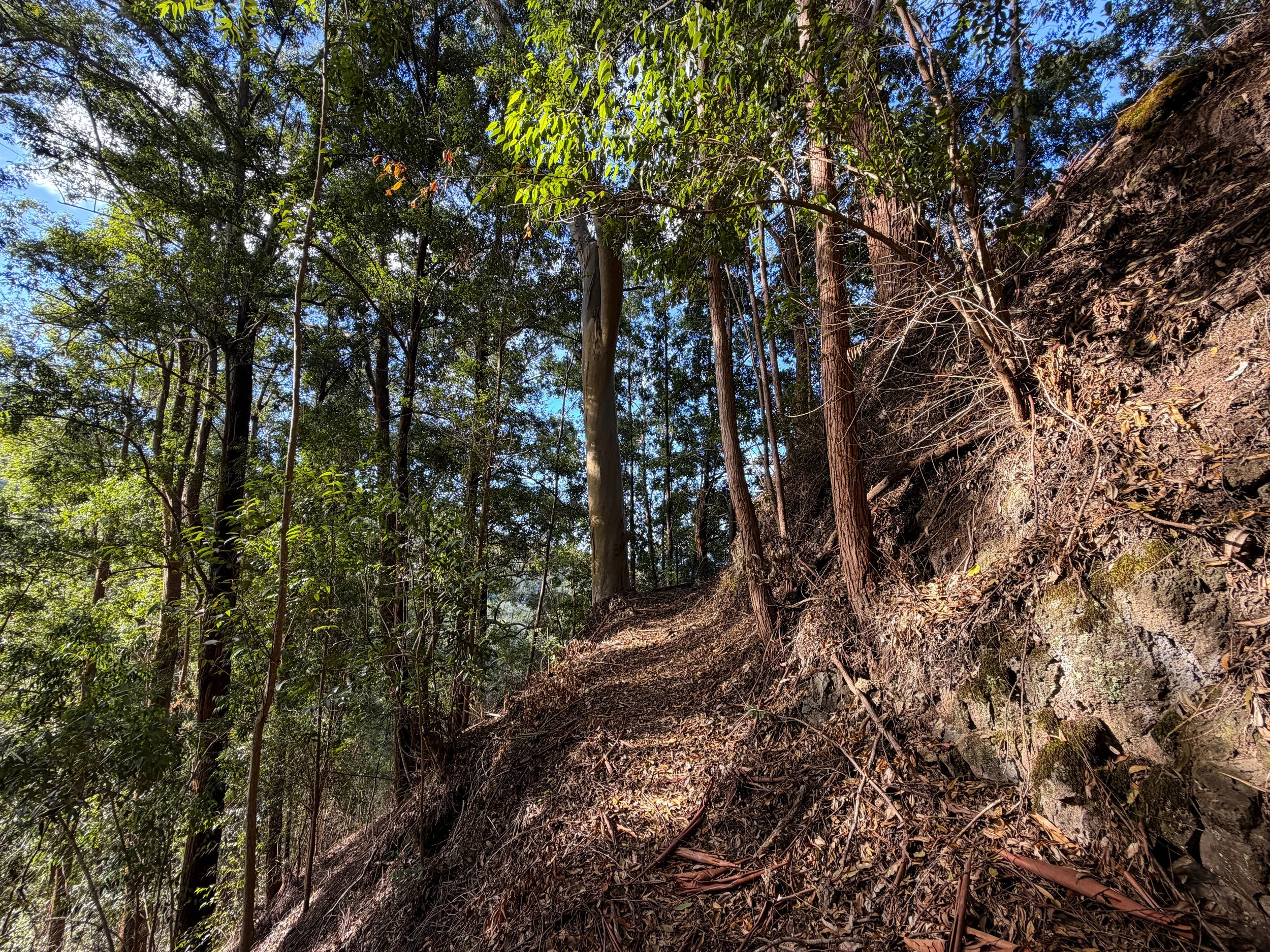 Mokuleia Trail Peacock Flats Oahu Hawaii