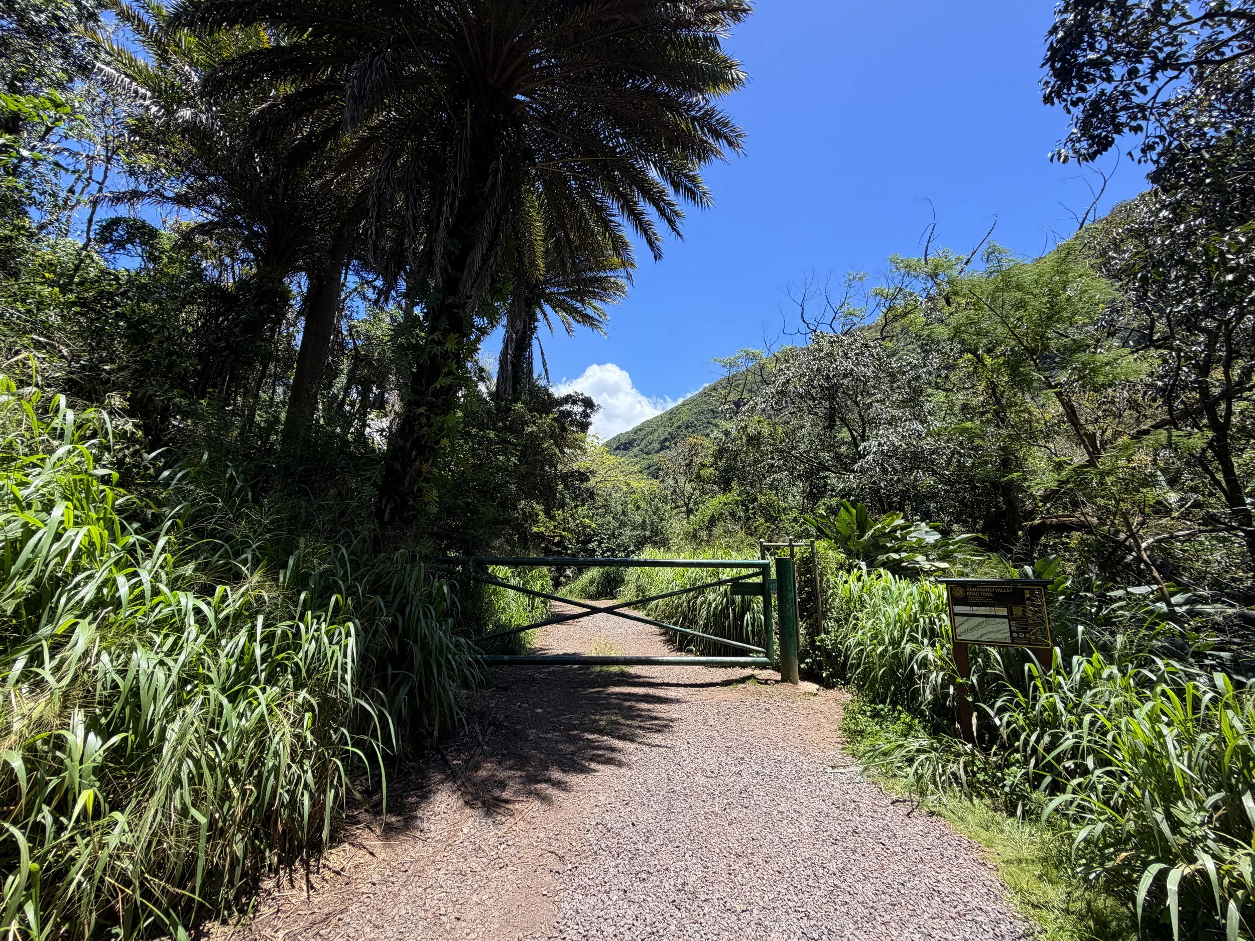 Kulanaahane Trailhead Oahu Hawaii