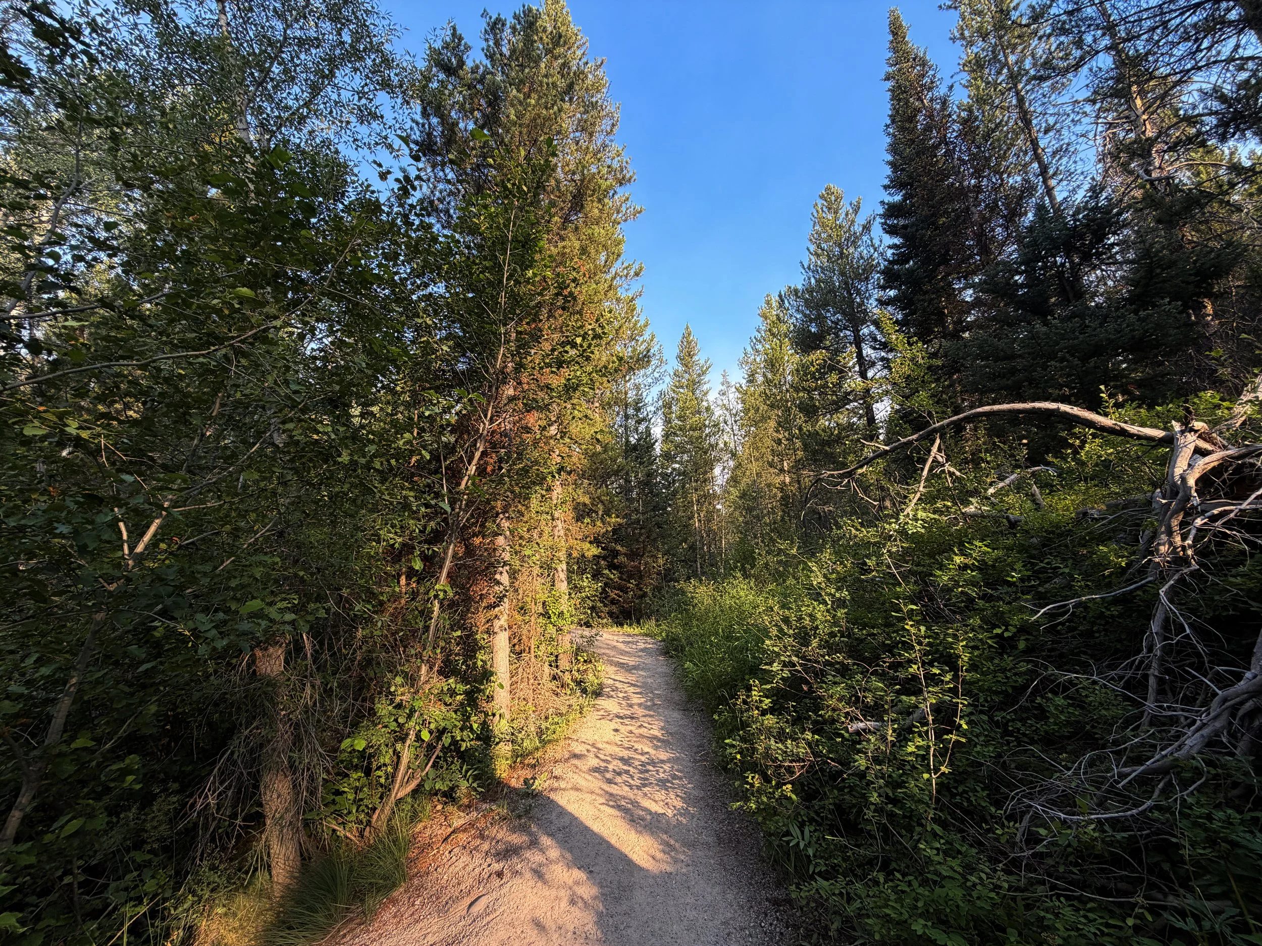 Aspen Ridge Trail Grand Teton National Park Wyoming