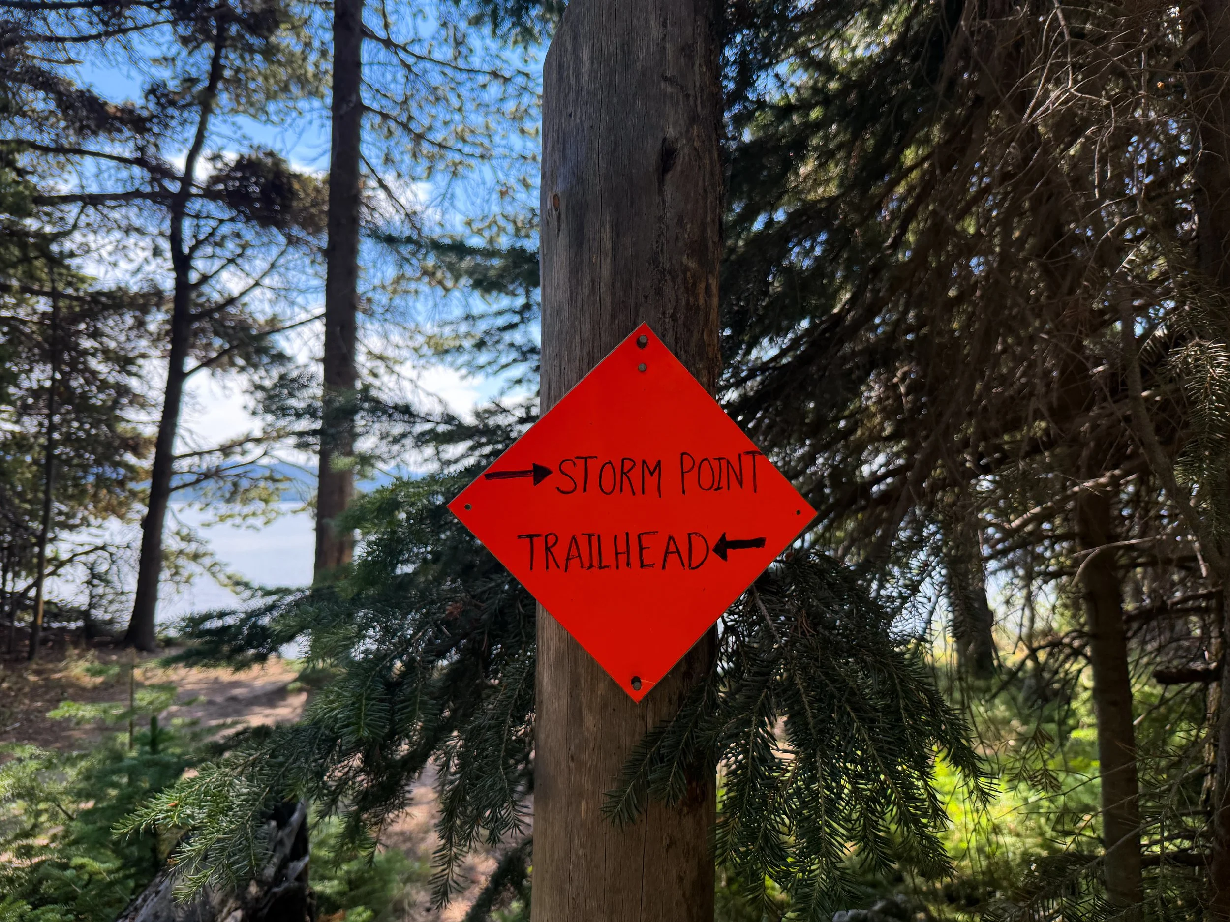 Storm Point Loop Trail Yellowstone National Park Wyoming