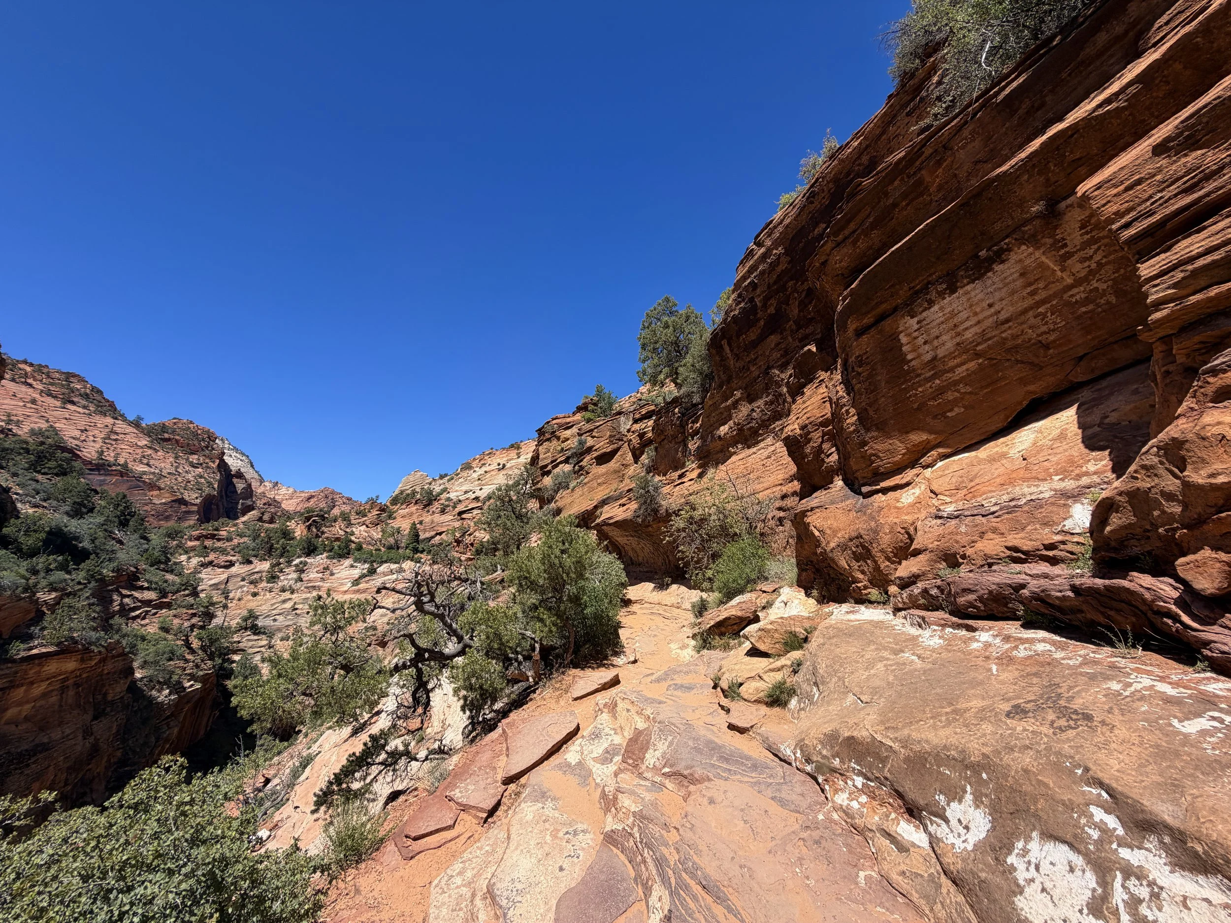 Canyon Overlook Trail Zion National Park Utah