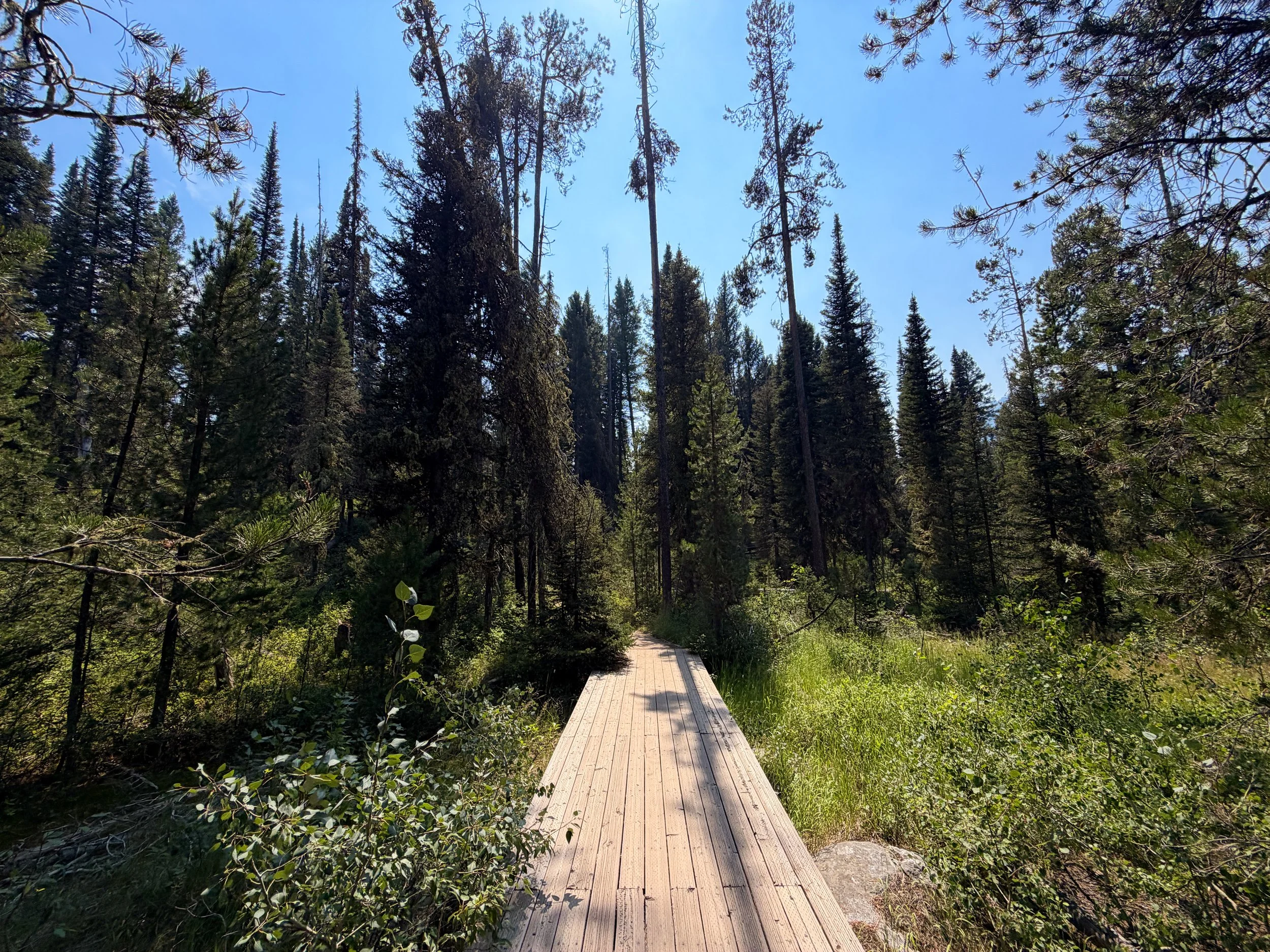 Phelps Lake Loop Trail Grand Teton National Park Wyoming