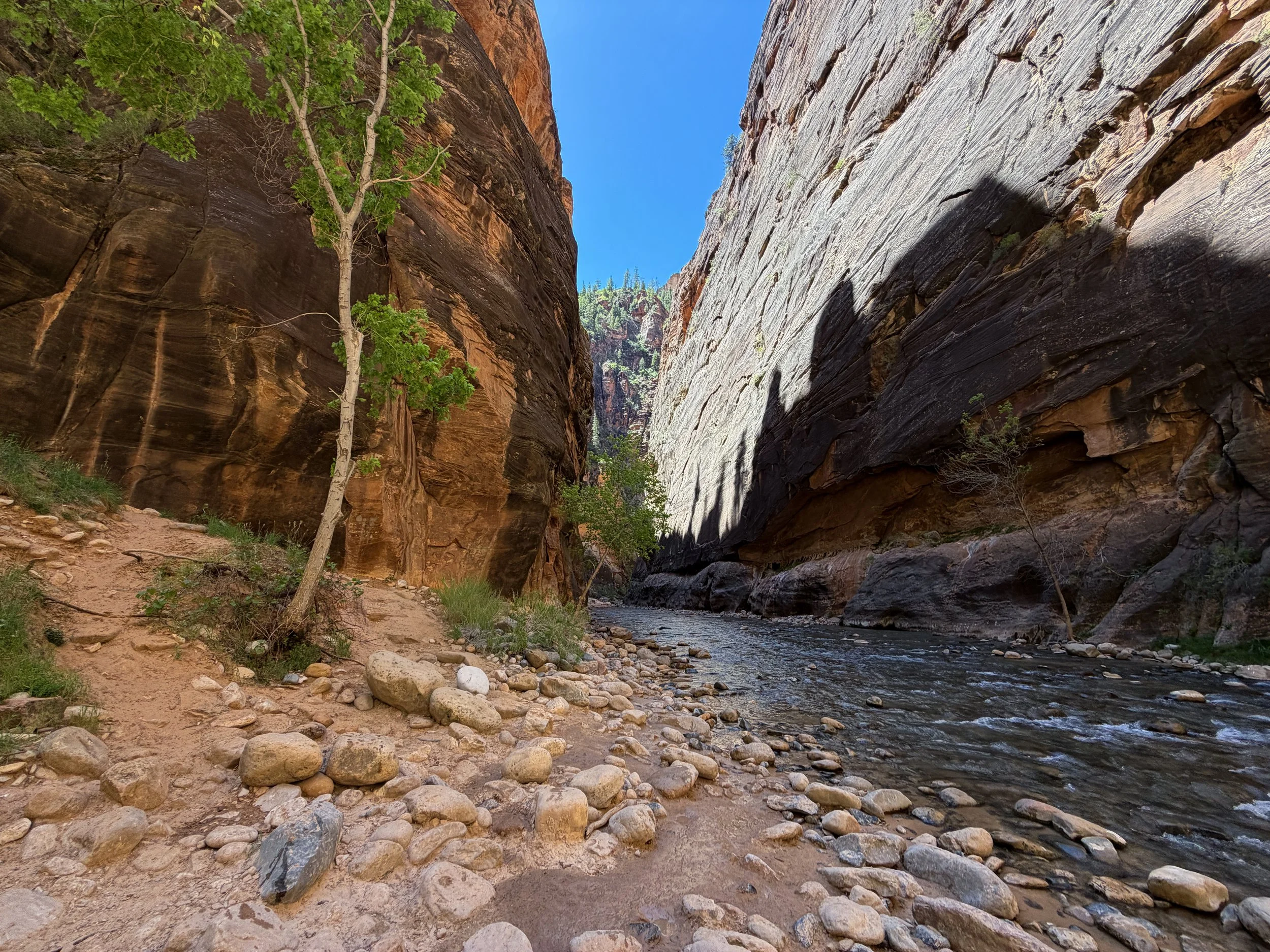 Narrows Hike Zion National Park Utah