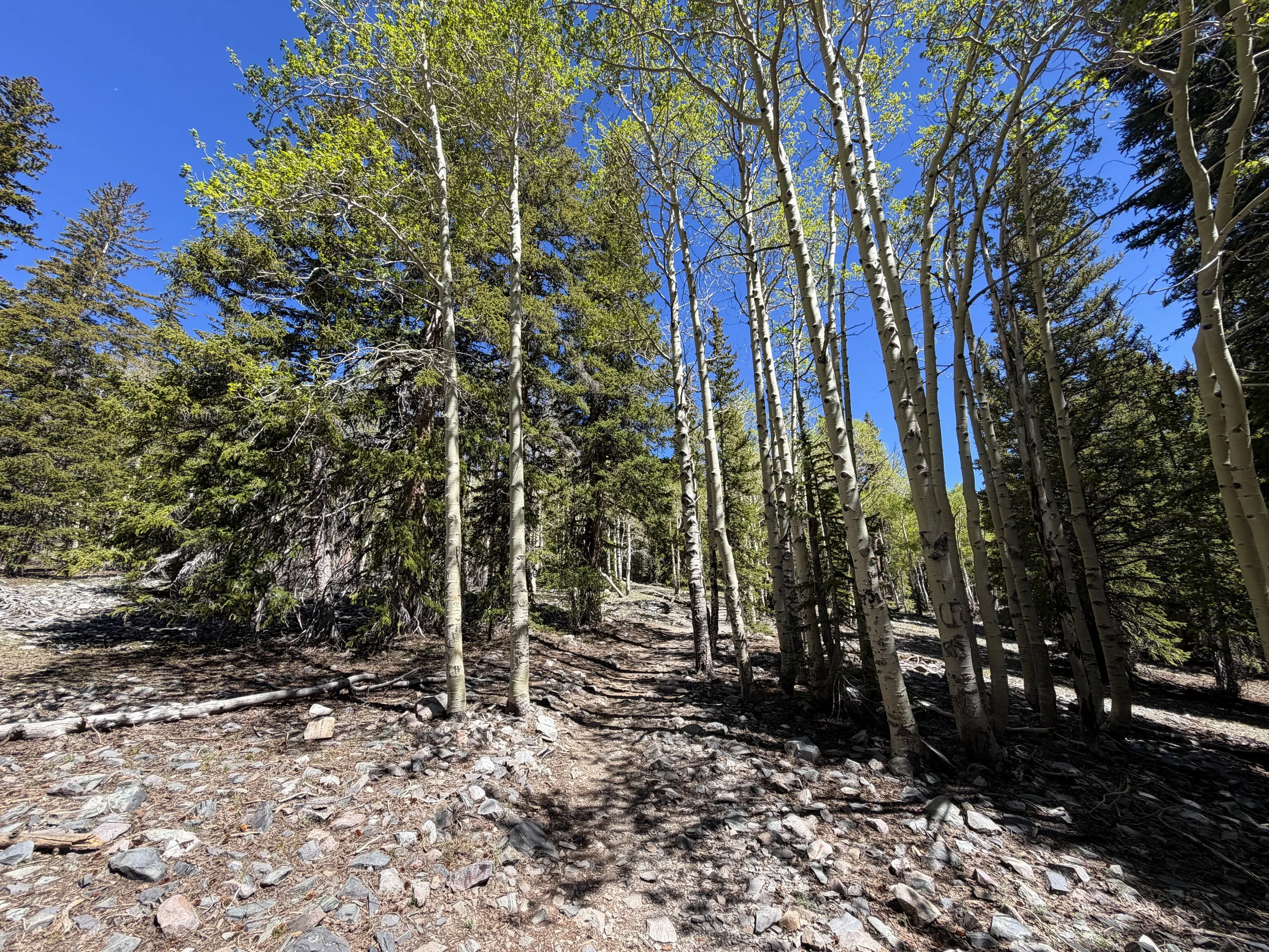 Alpine Lakes Hike Great Basin National Park Nevada