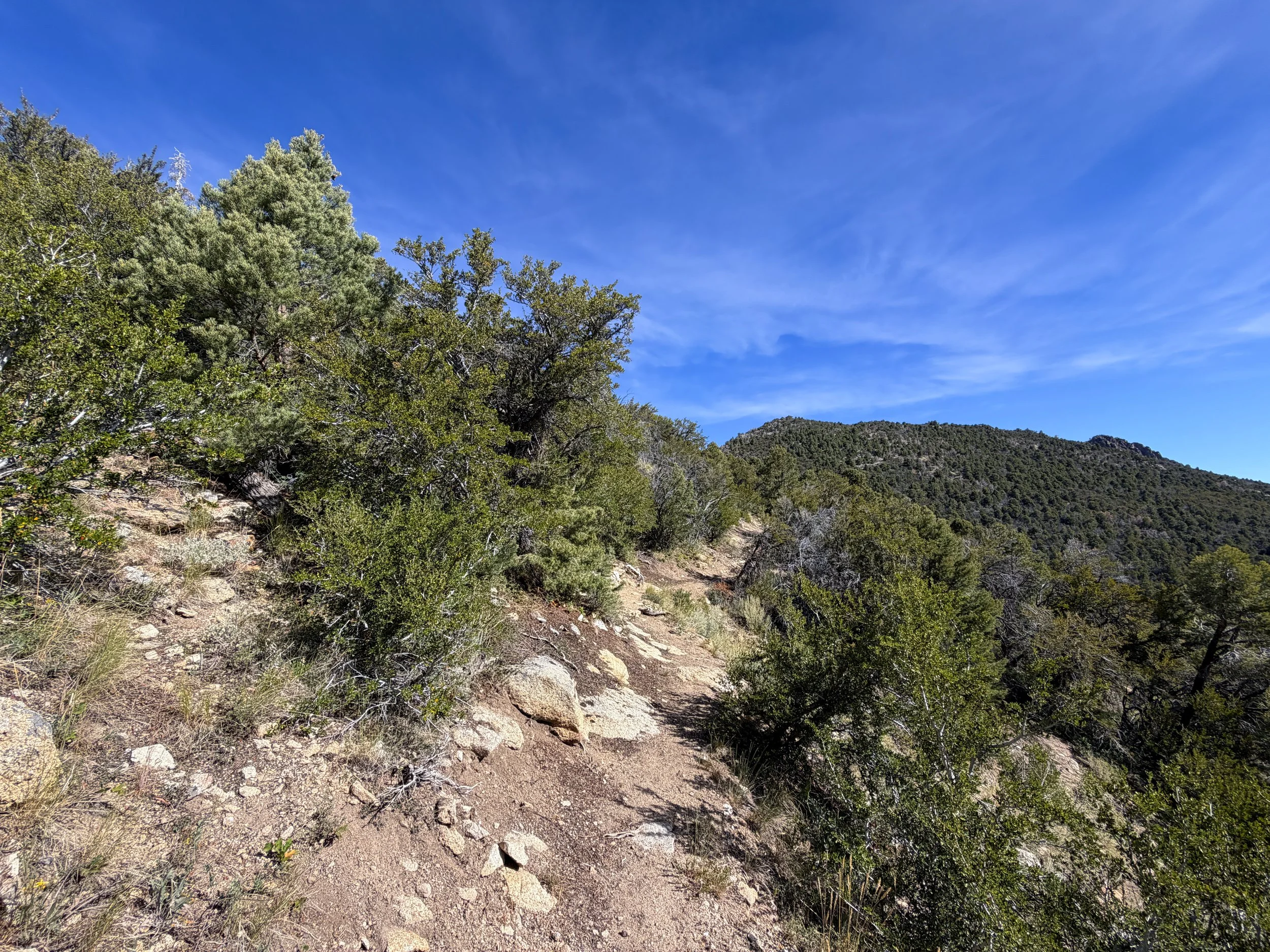 Pole Canyon Hike Great Basin National Park Nevada