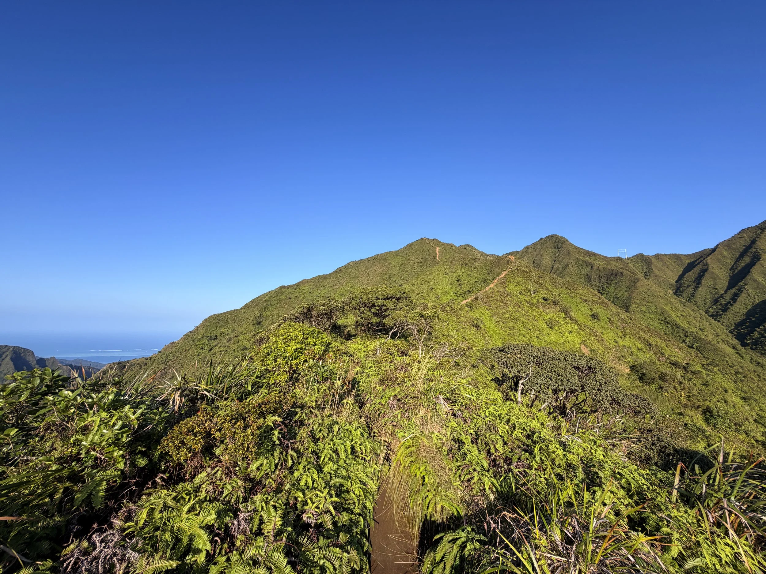 Moanalua Middle Ridge Trail to Stairway to Heaven Oahu Hawaii