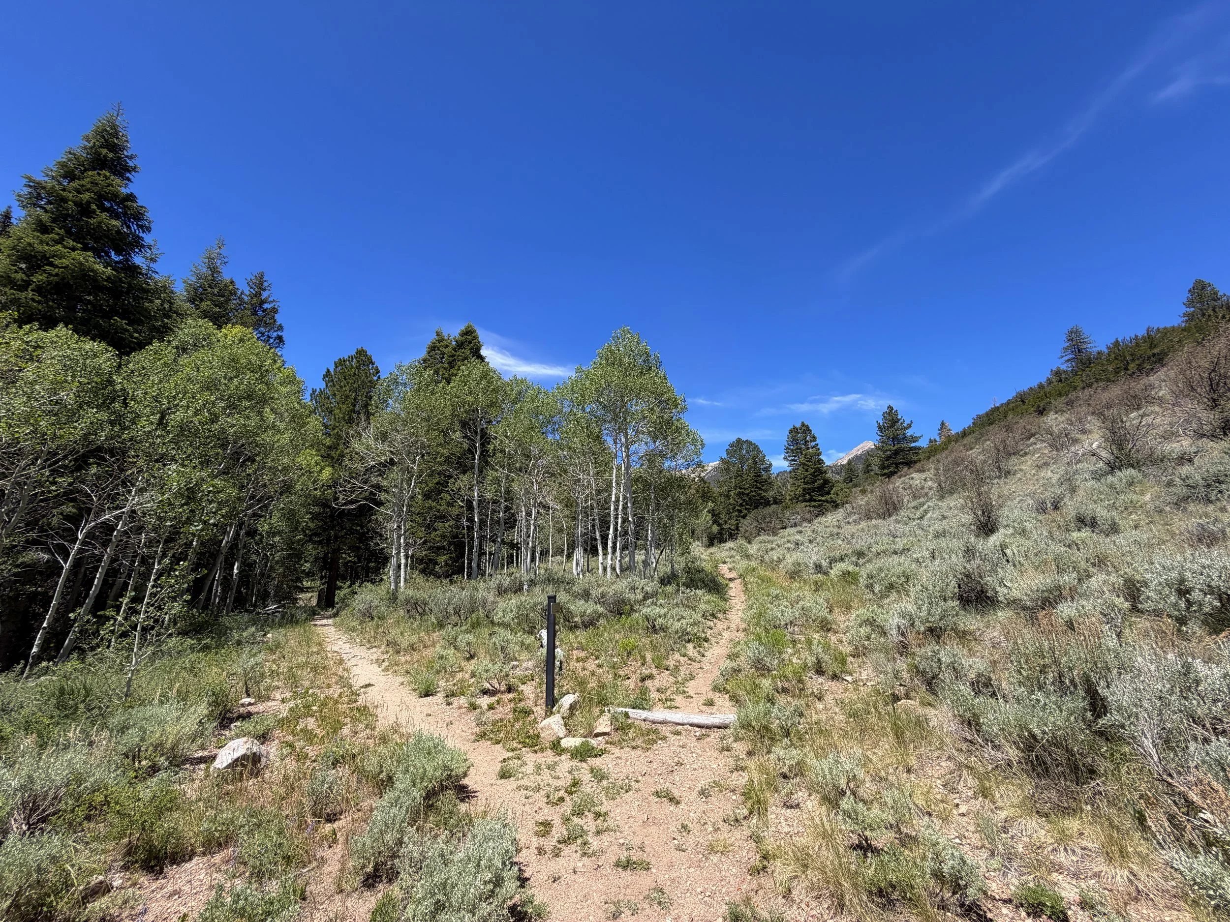 Dead Lake Trail Great Basin National Park Nevada