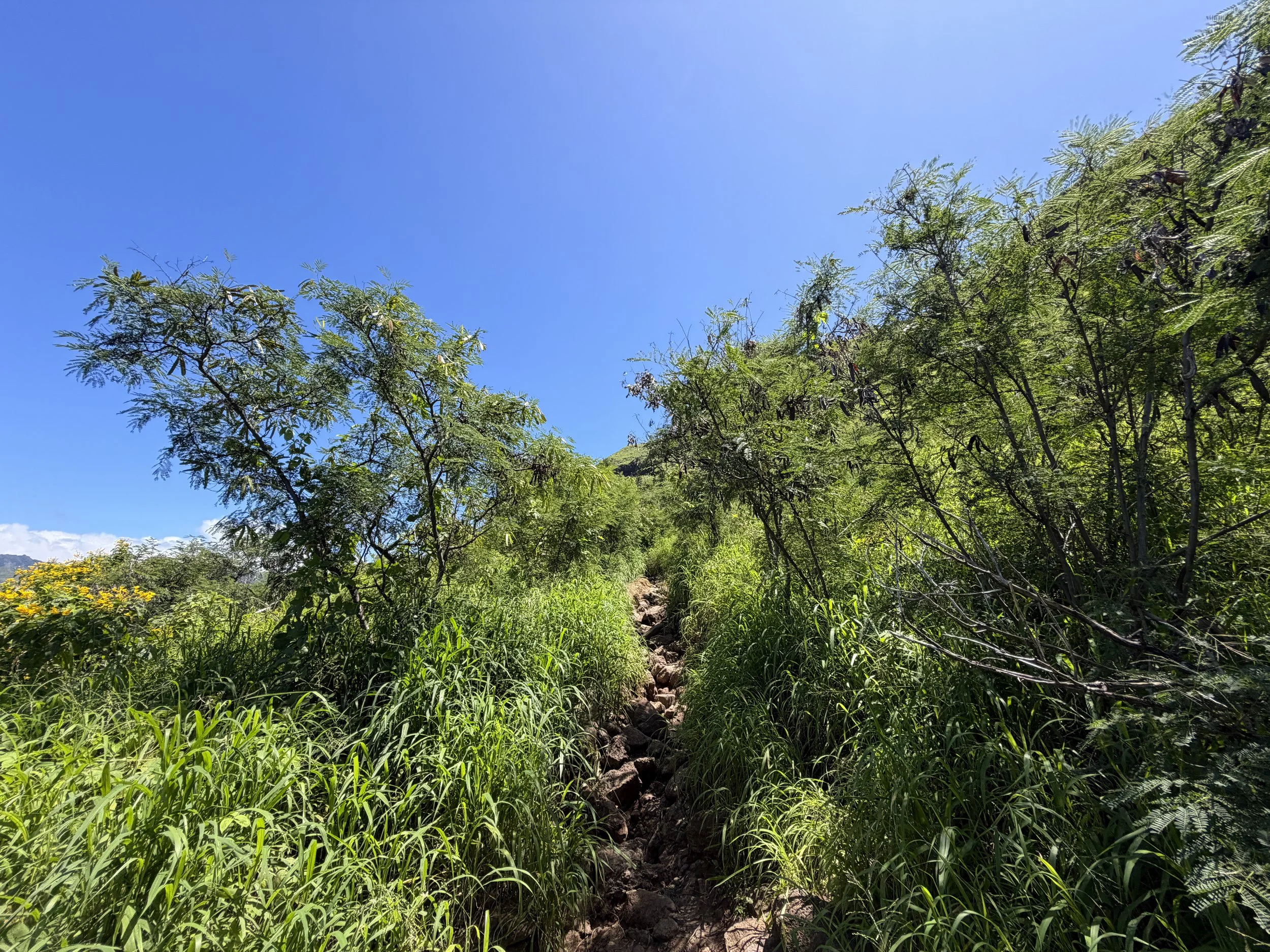 Puu O Hulu Trail Oahu Hawaii