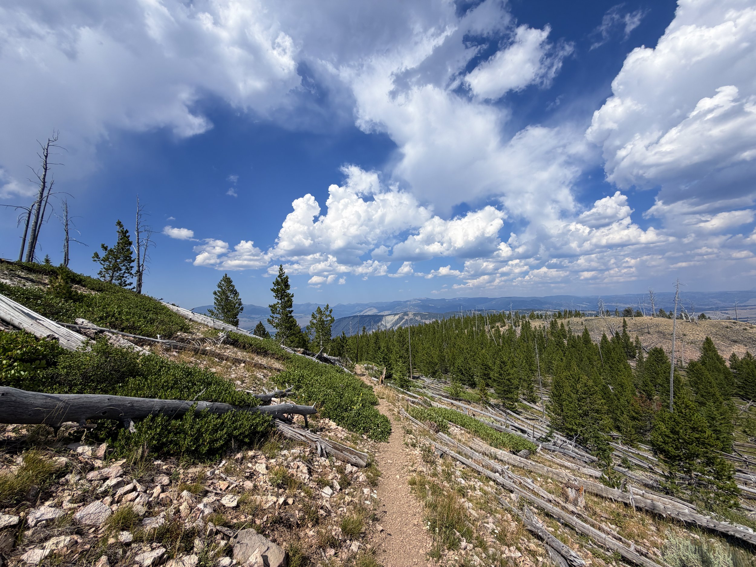 Bunsen Peak Trail Yellowstone National Park Wyoming
