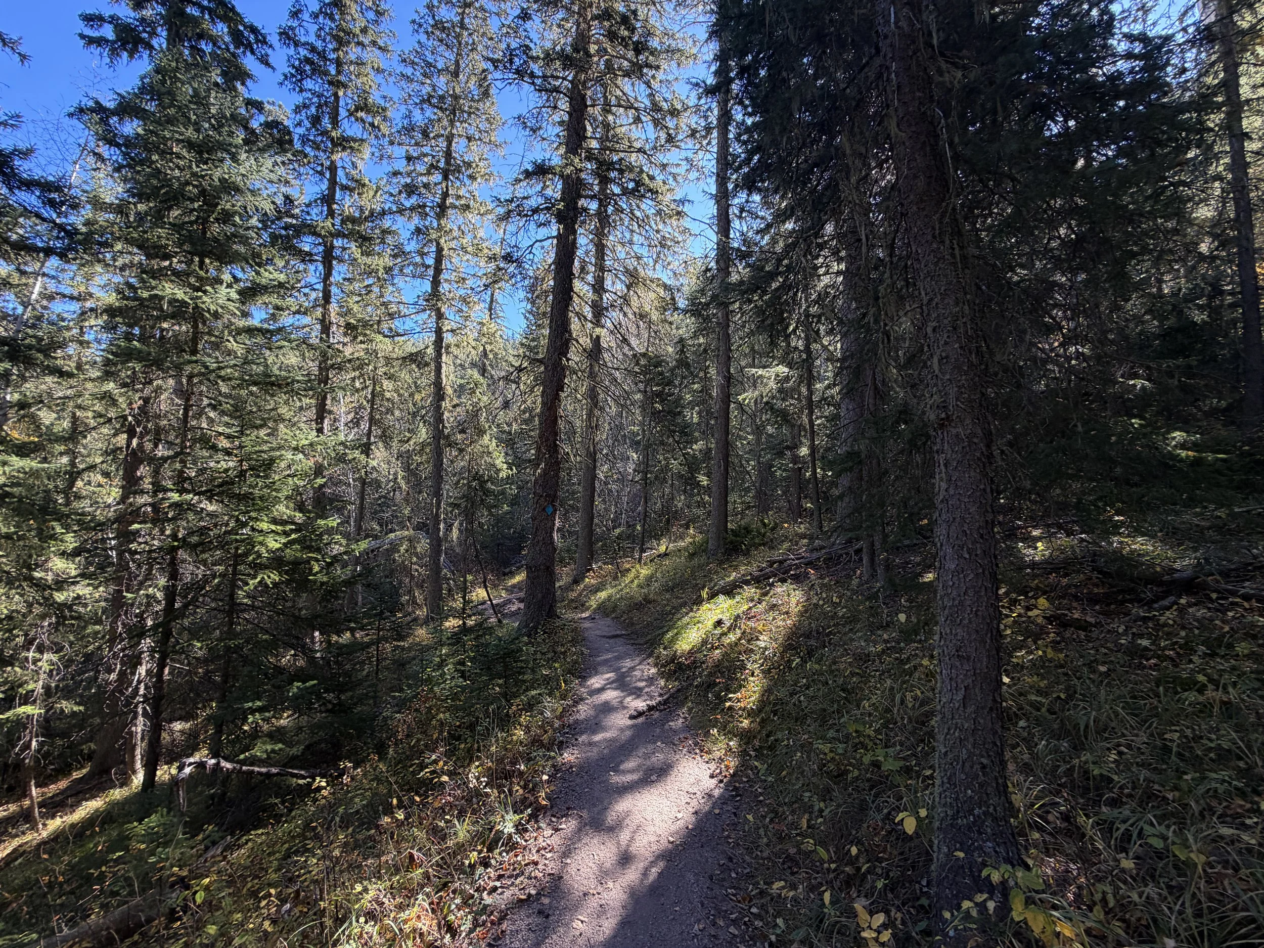 Sunday Gulch Hike Custer State Park Black Hills South Dakota