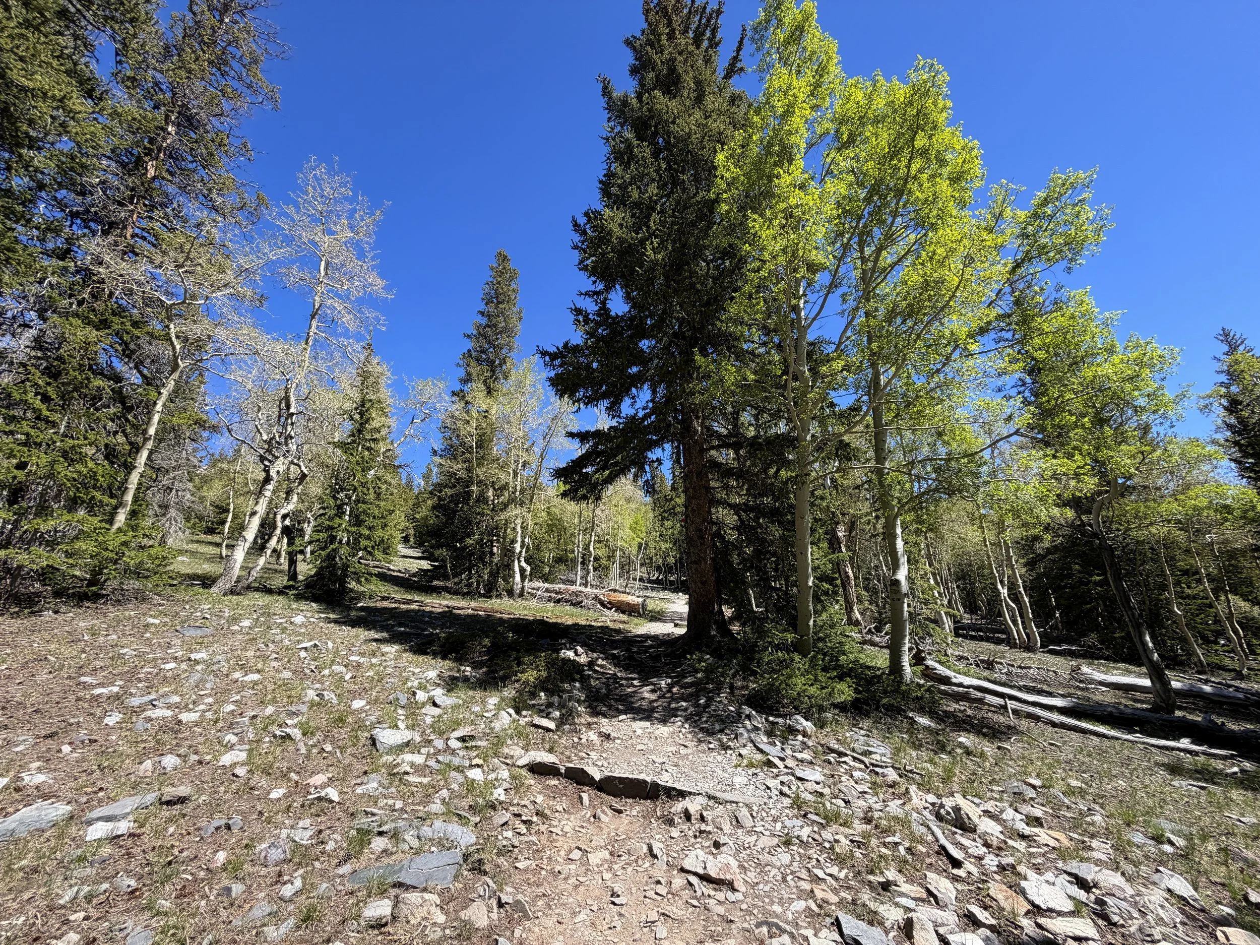 Alpine Lakes Hike Great Basin National Park Nevada
