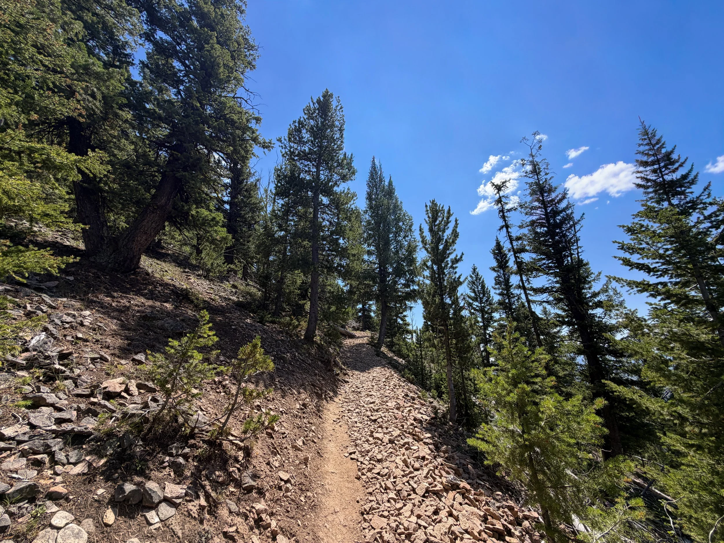 Bunsen Peak Trail Yellowstone National Park Wyoming